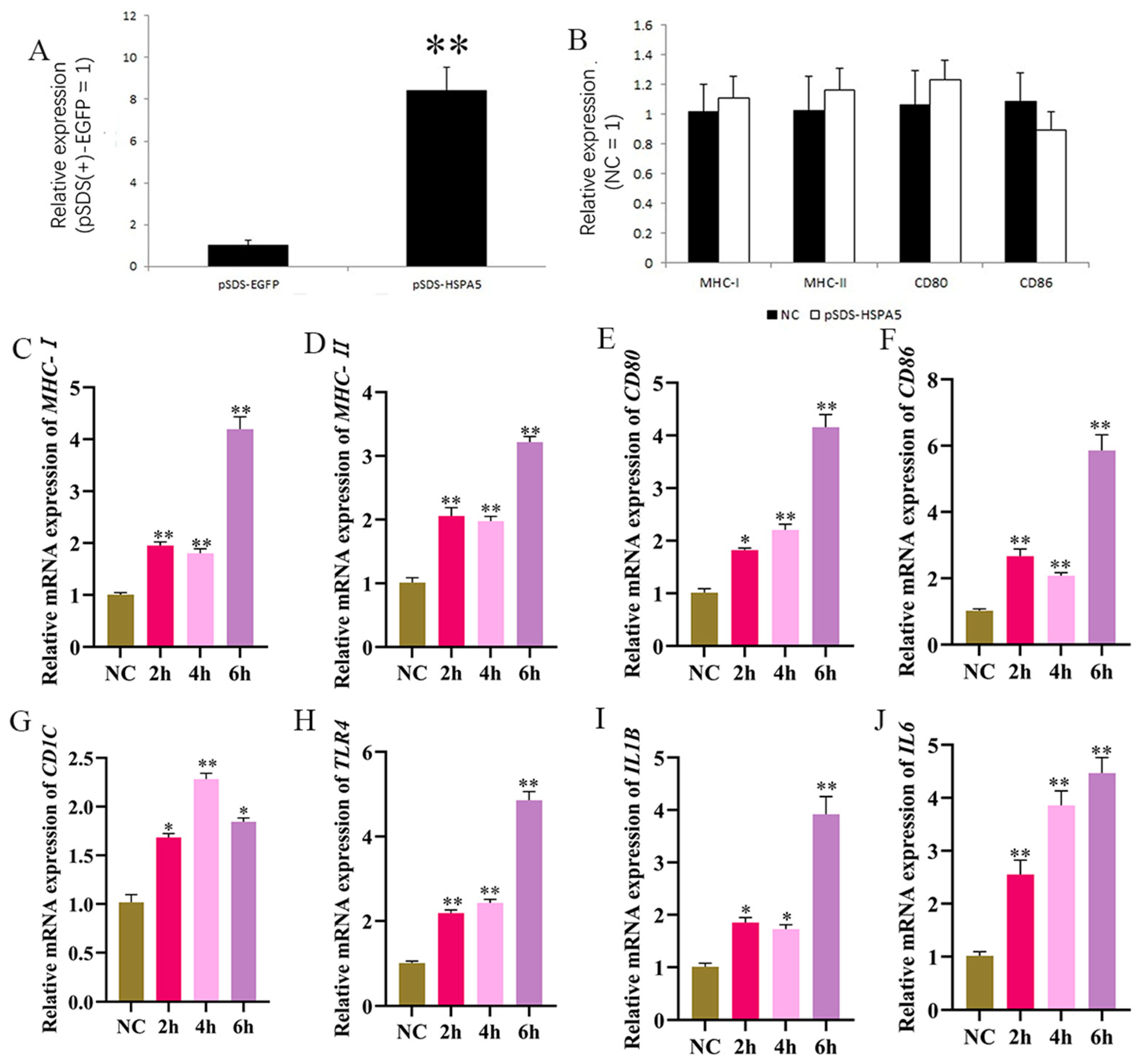 Animals 15 01141 g008