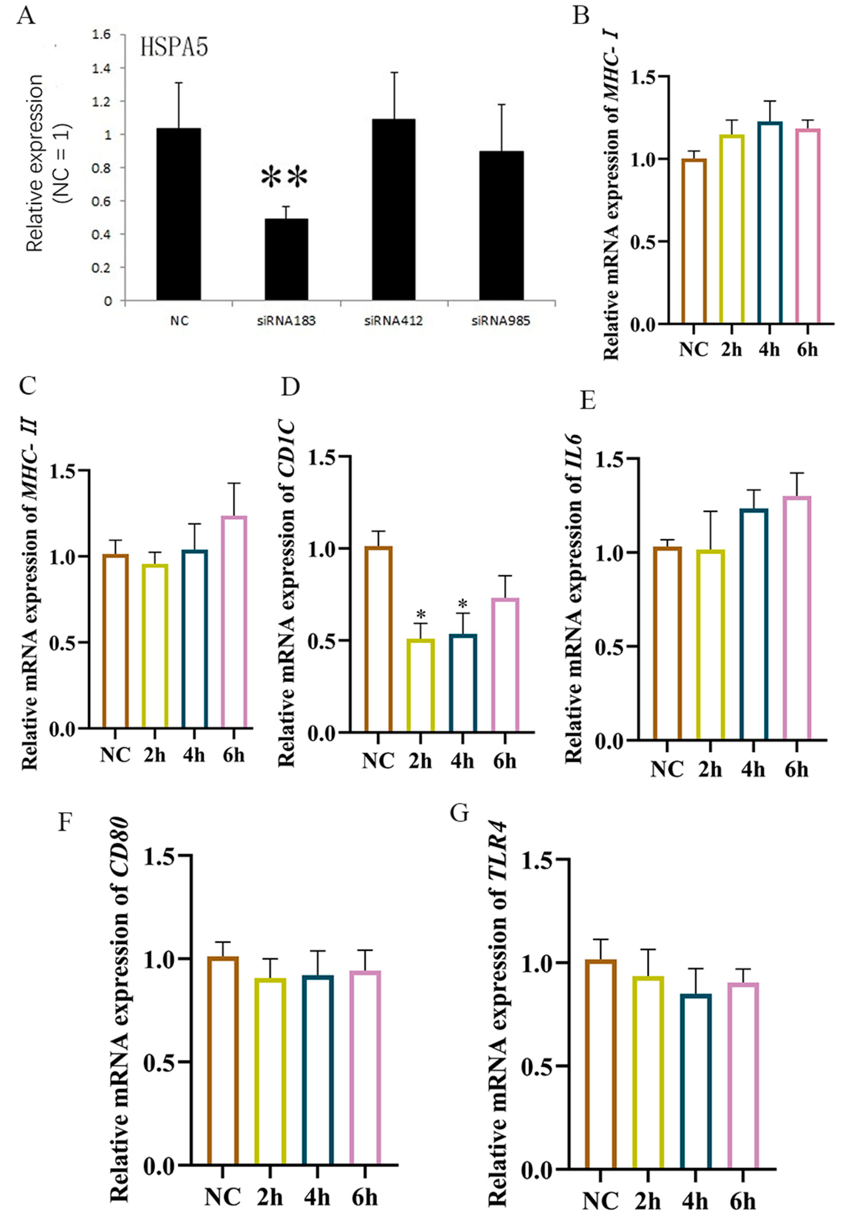 Animals 15 01141 g009