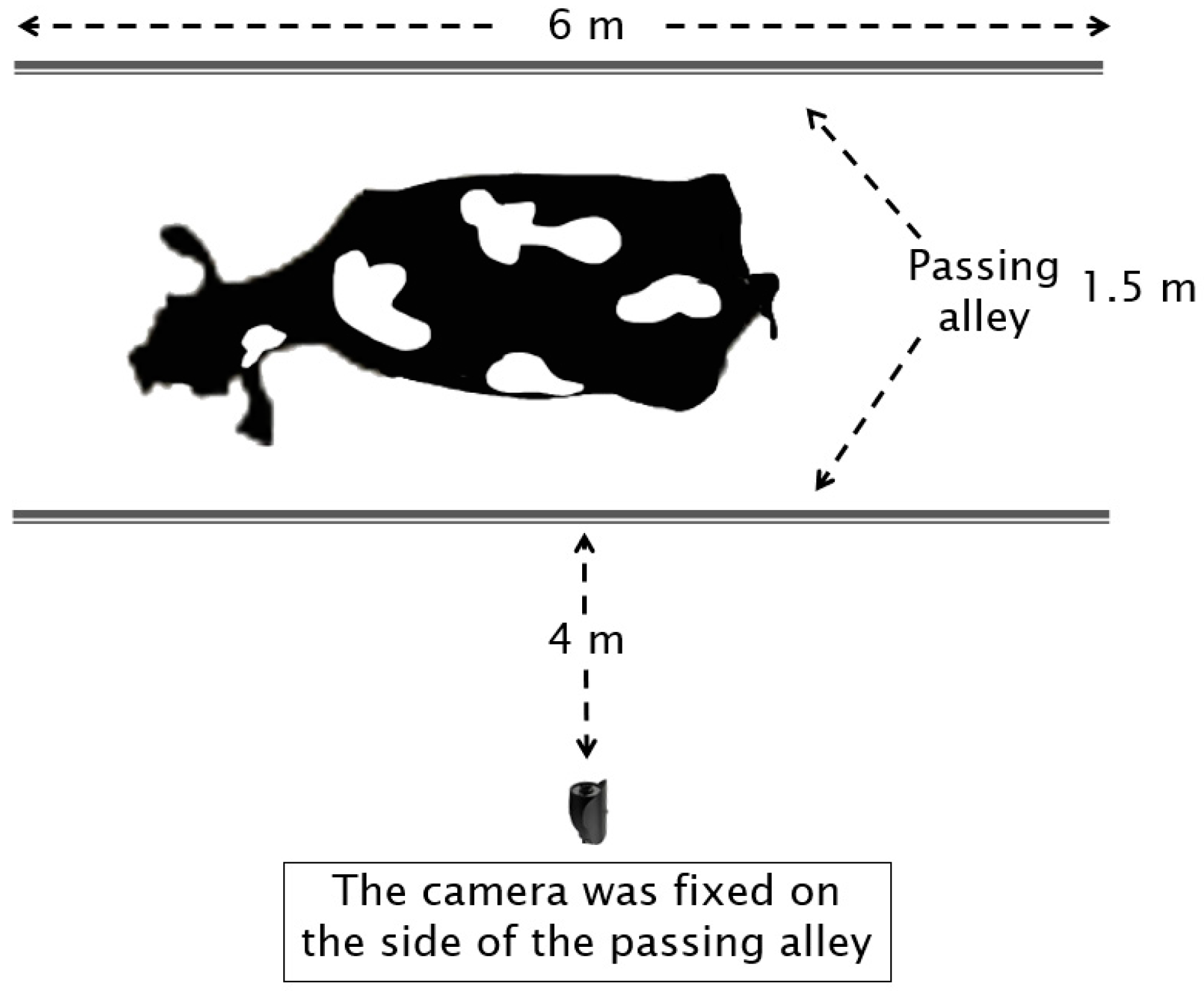 Animals 15 01144 g001