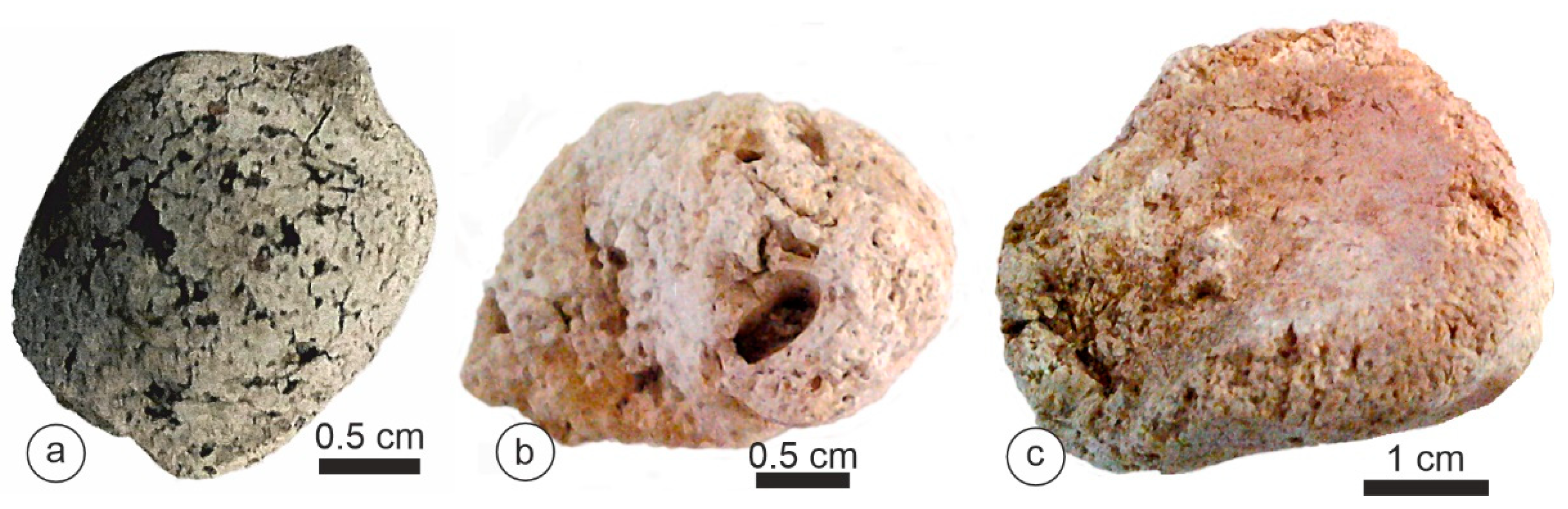 Animals 15 01145 g004 Animals 15 01145 g004