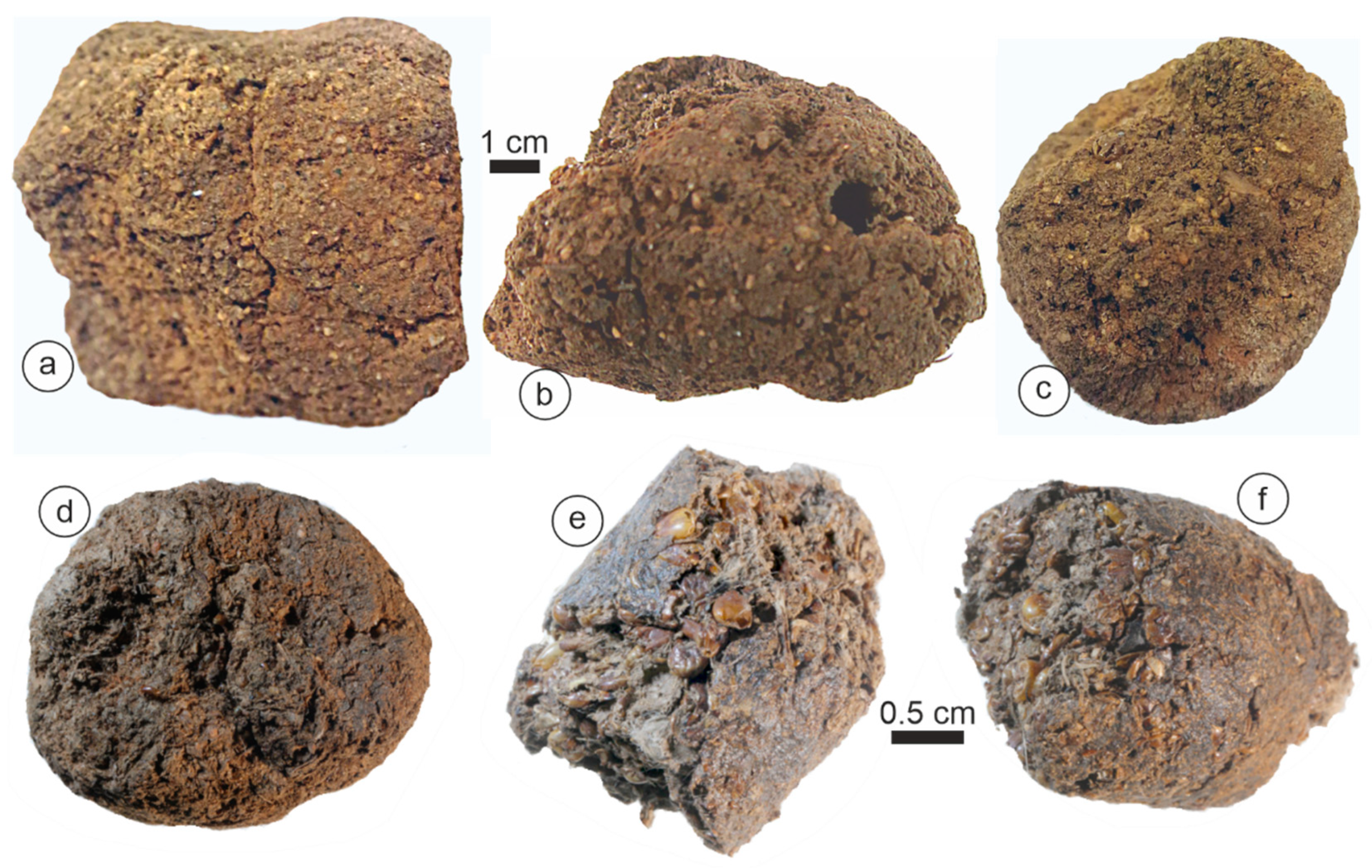 Animals 15 01145 g005 Animals 15 01145 g005