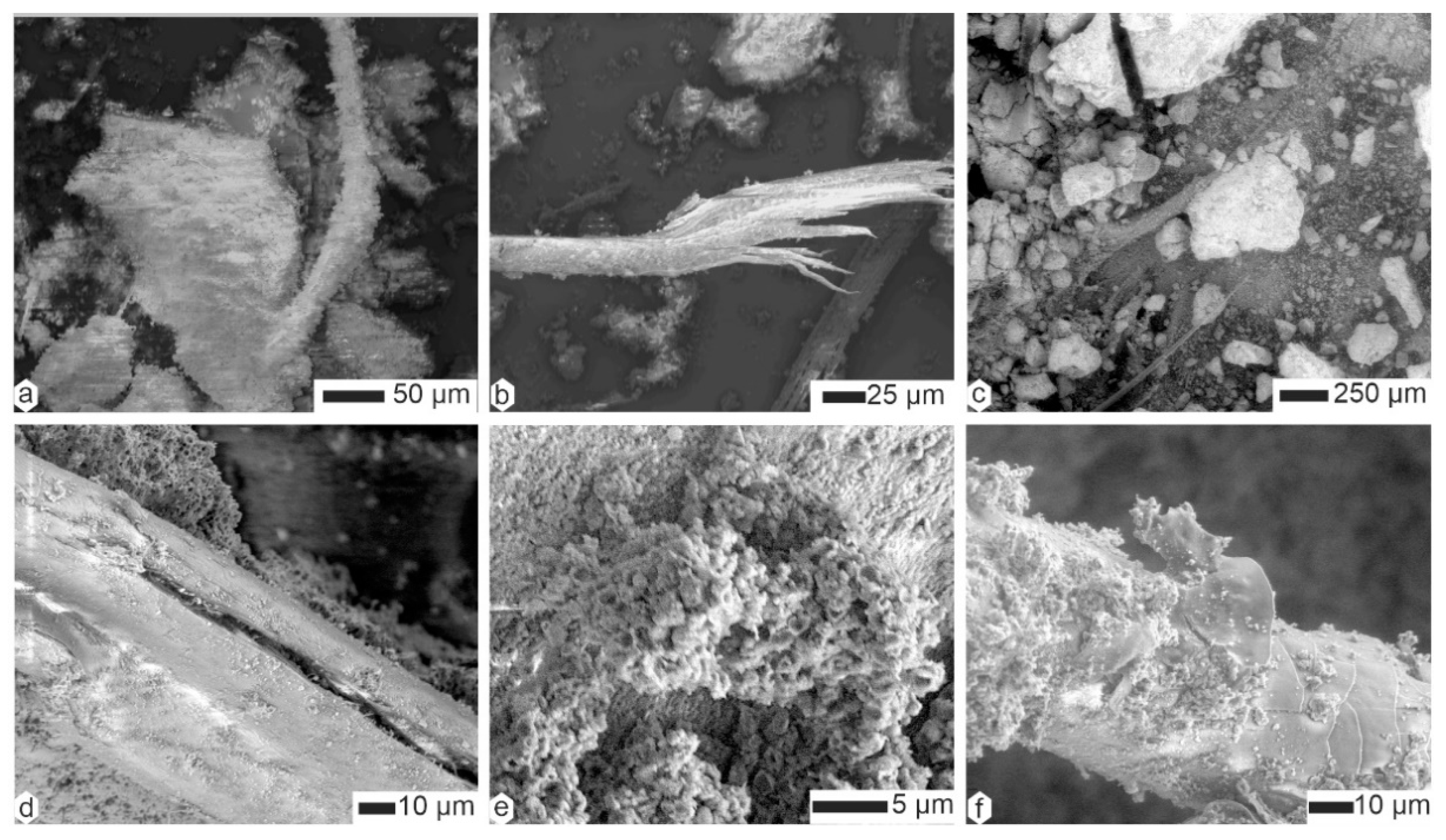 Animals 15 01145 g007 Animals 15 01145 g007