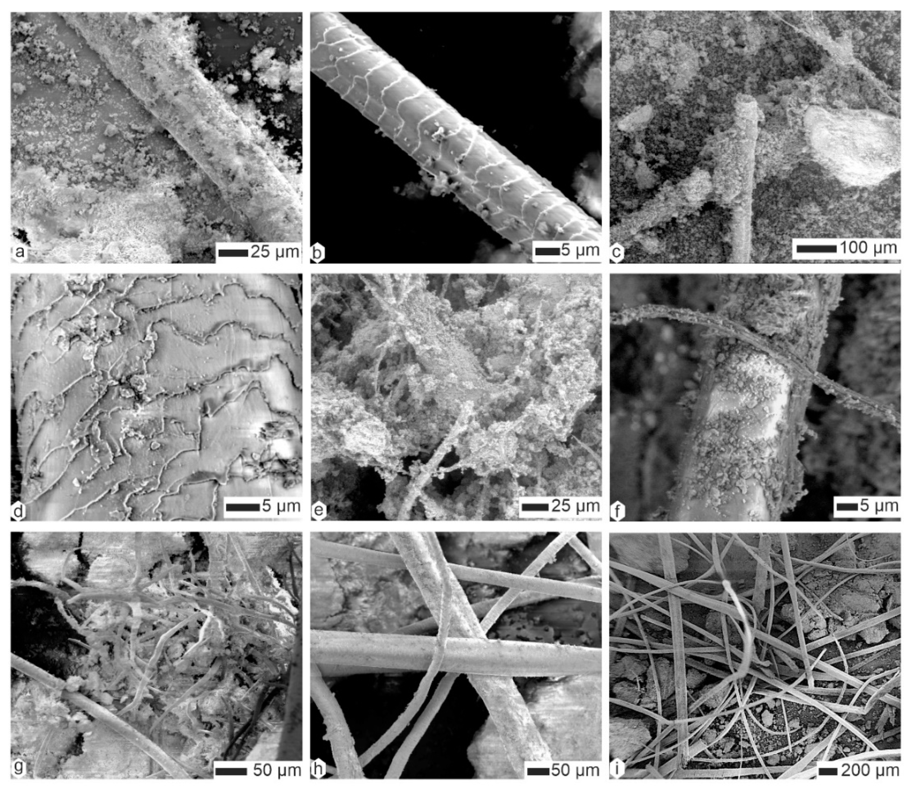 Animals 15 01145 g008 Animals 15 01145 g008