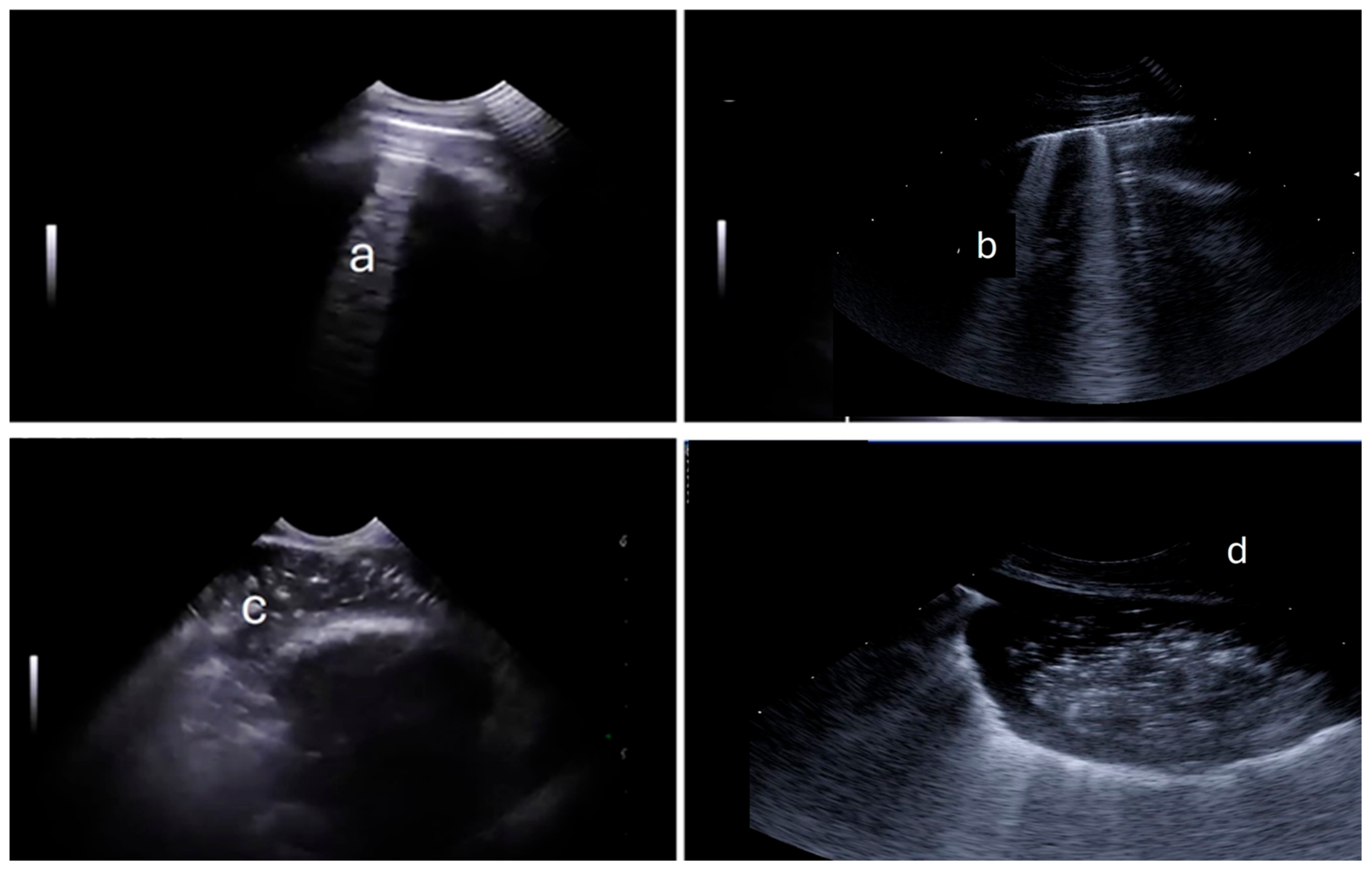 Animals 15 01153 g001 Animals 15 01153 g001