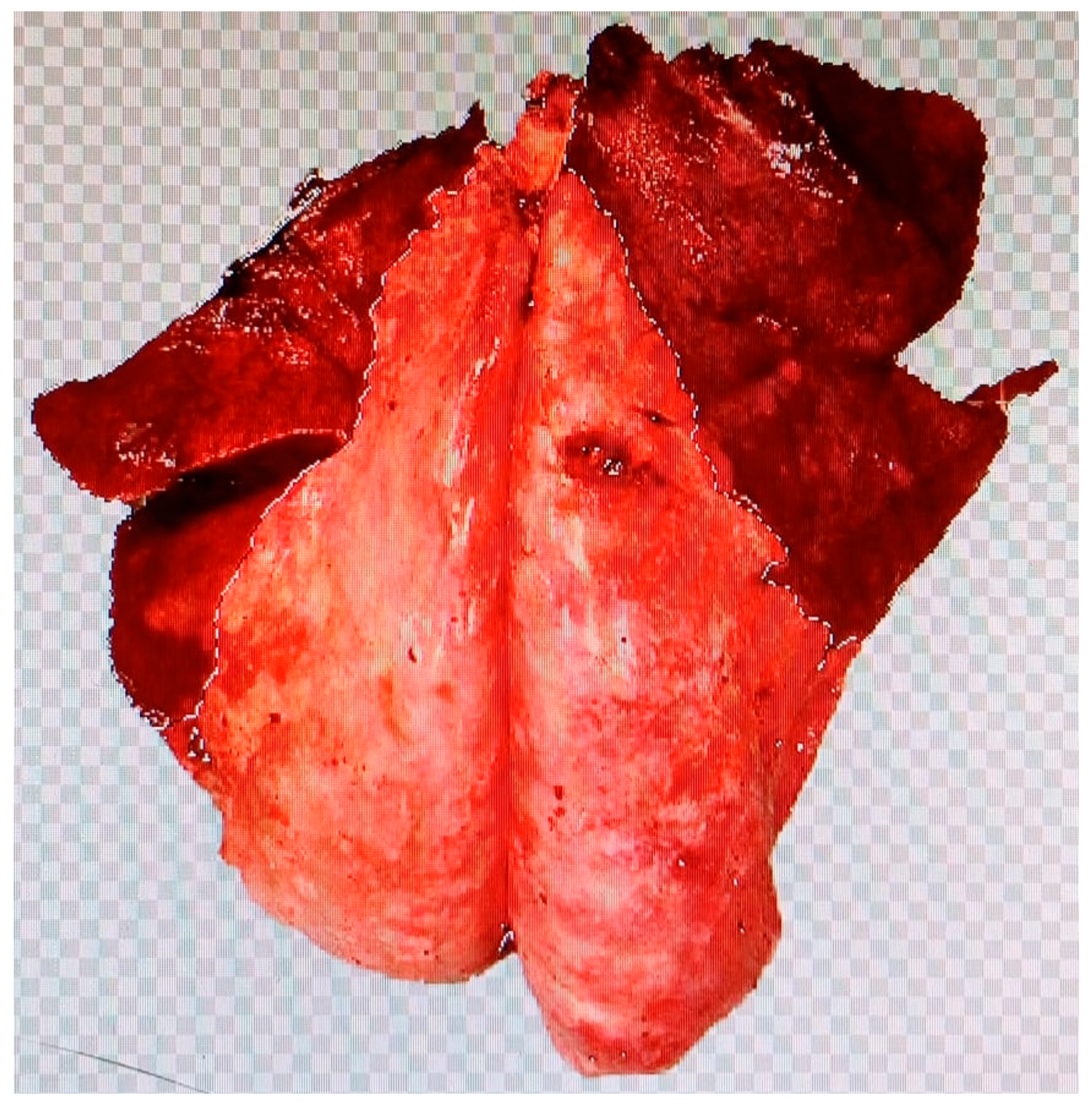 Animals 15 01153 g002 Animals 15 01153 g002