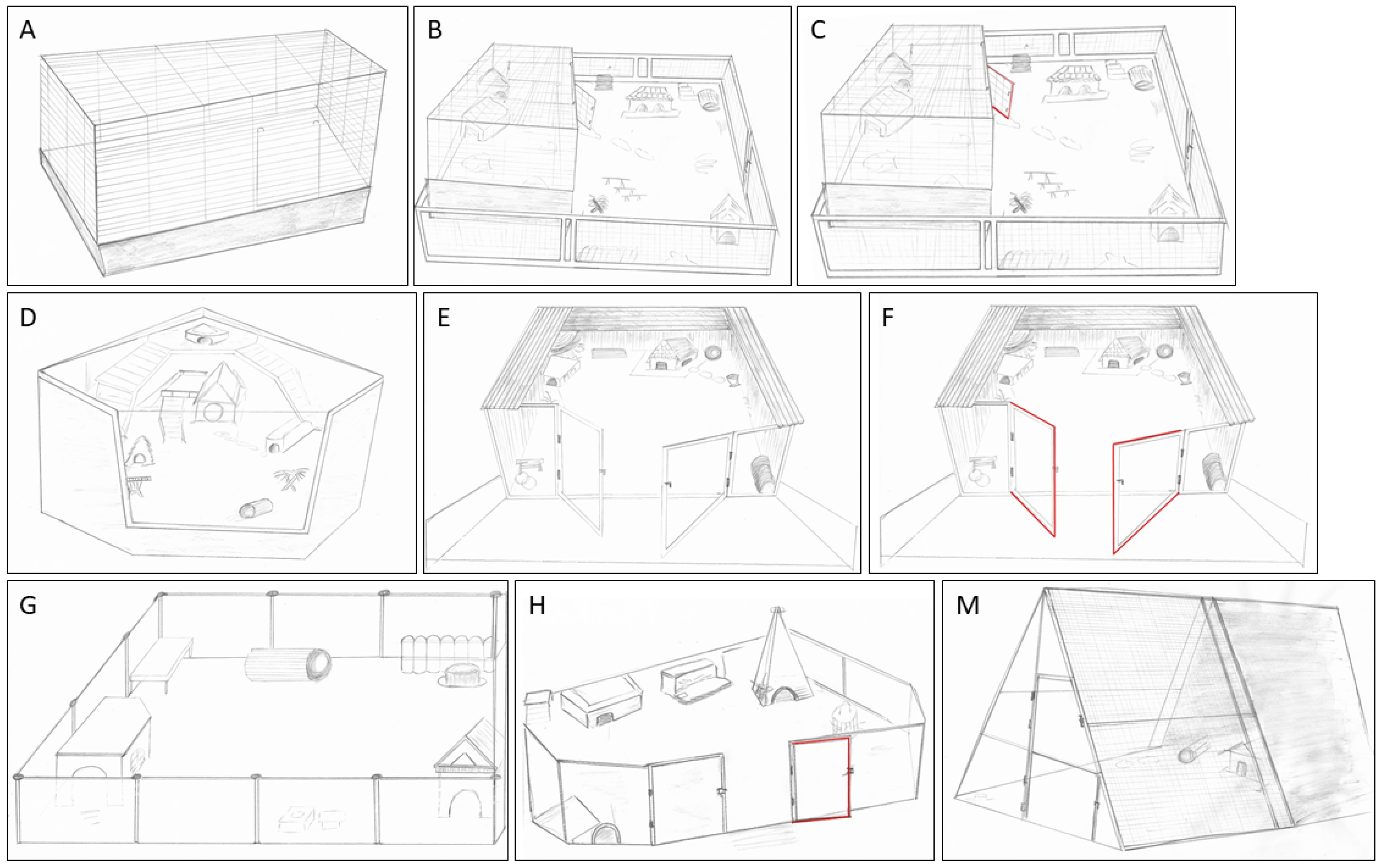 Animals 15 01157 g001