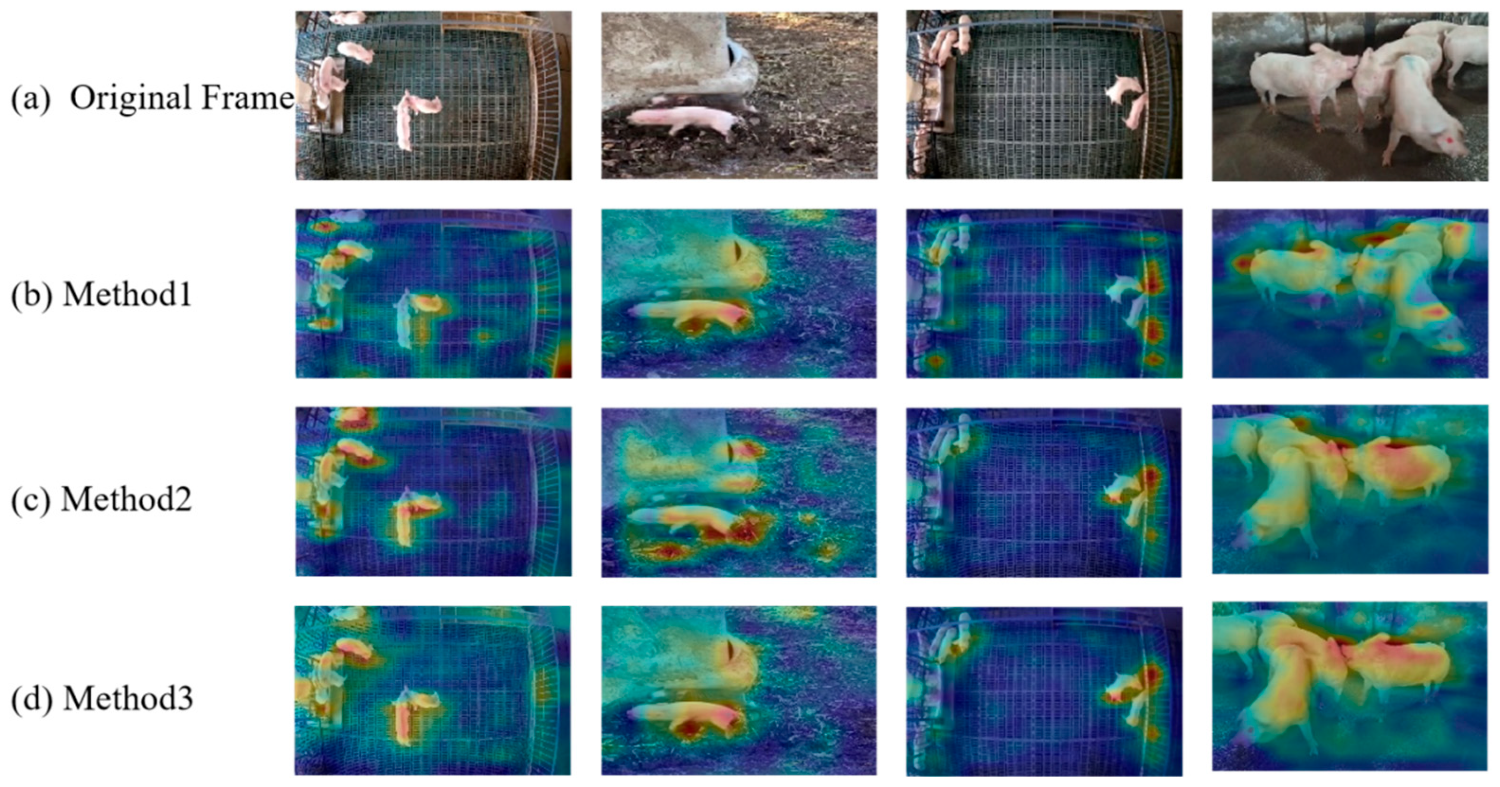 Animals 15 01159 g004