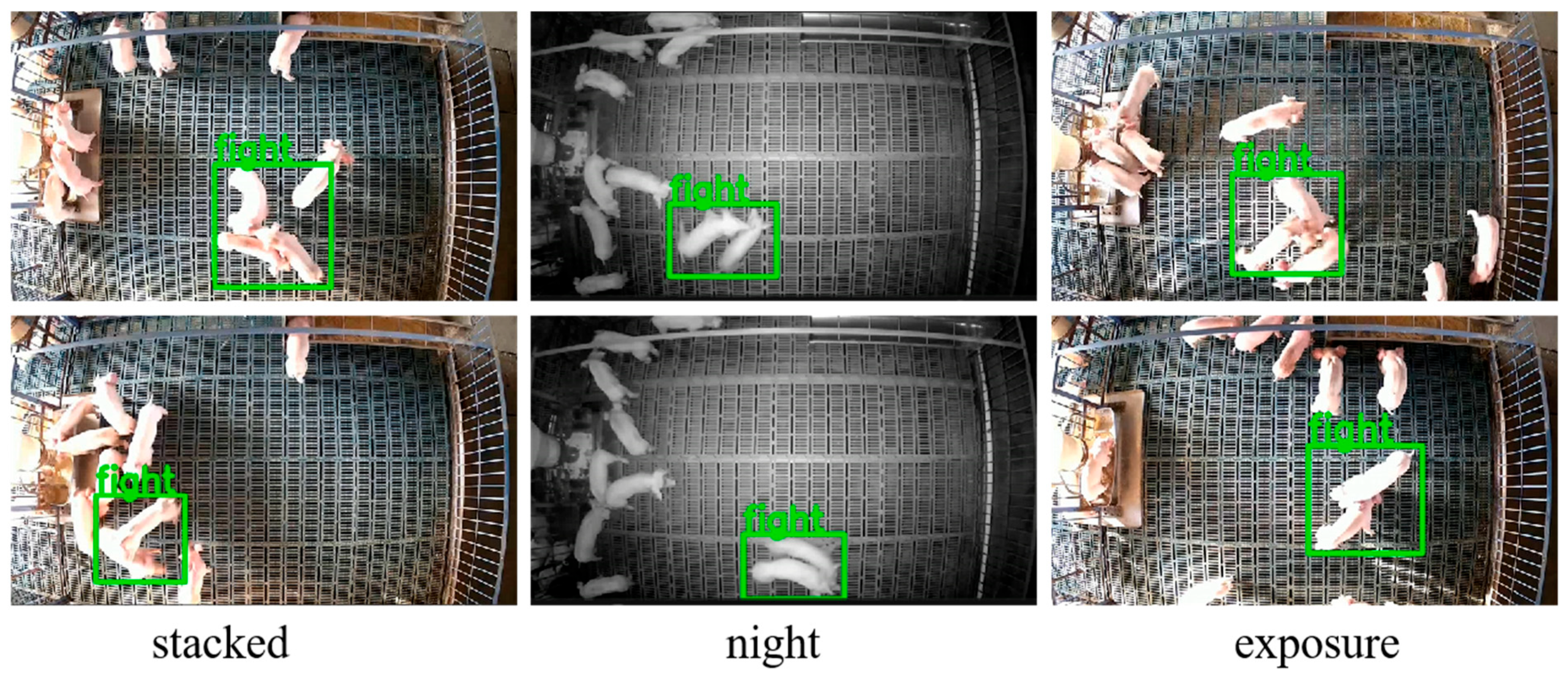 Animals 15 01159 g007