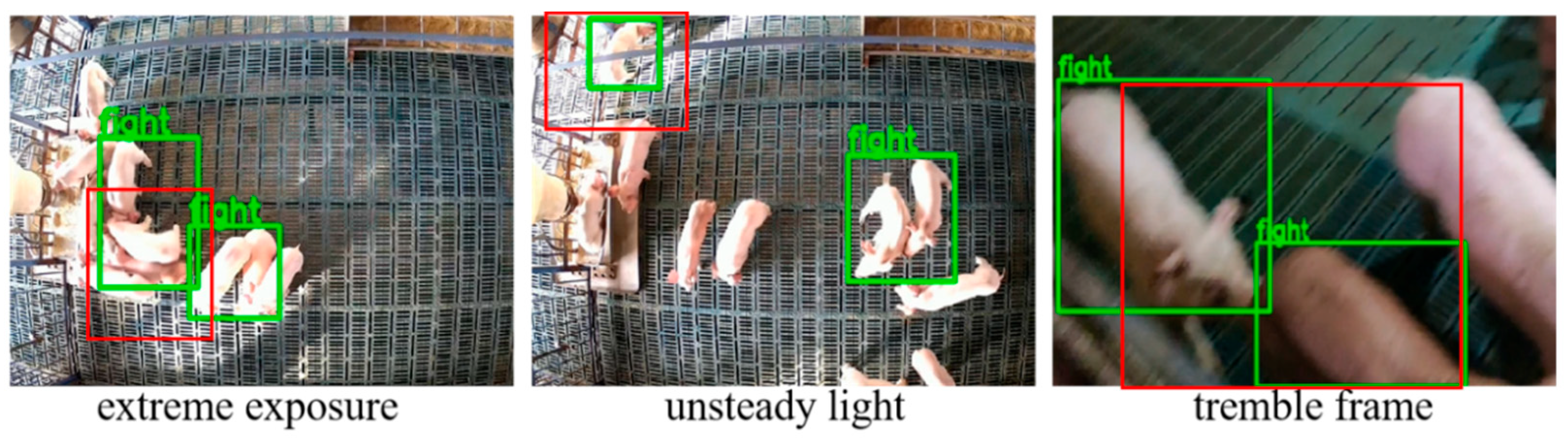 Animals 15 01159 g010