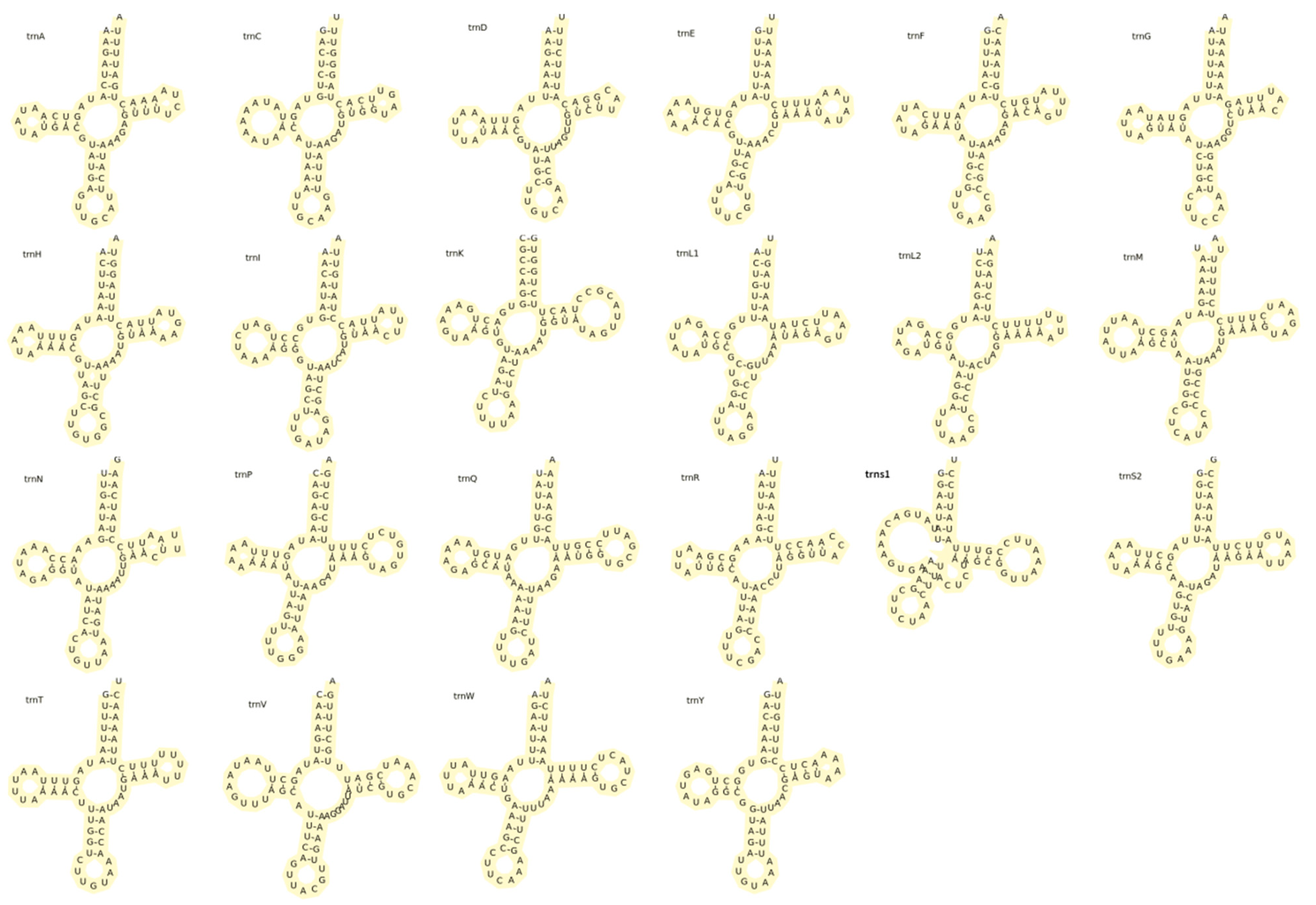 Animals 15 01162 g002