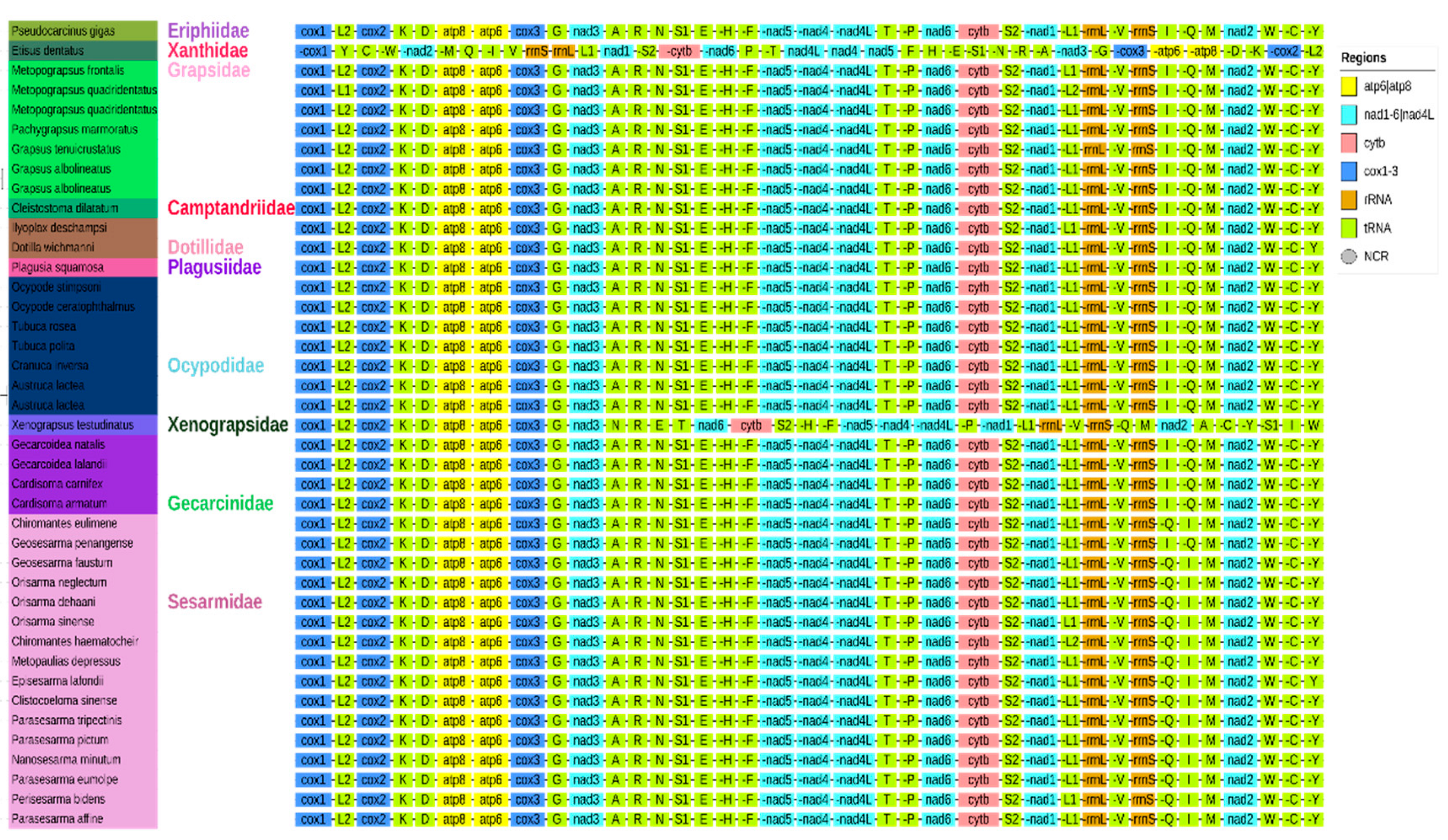 Animals 15 01162 g004