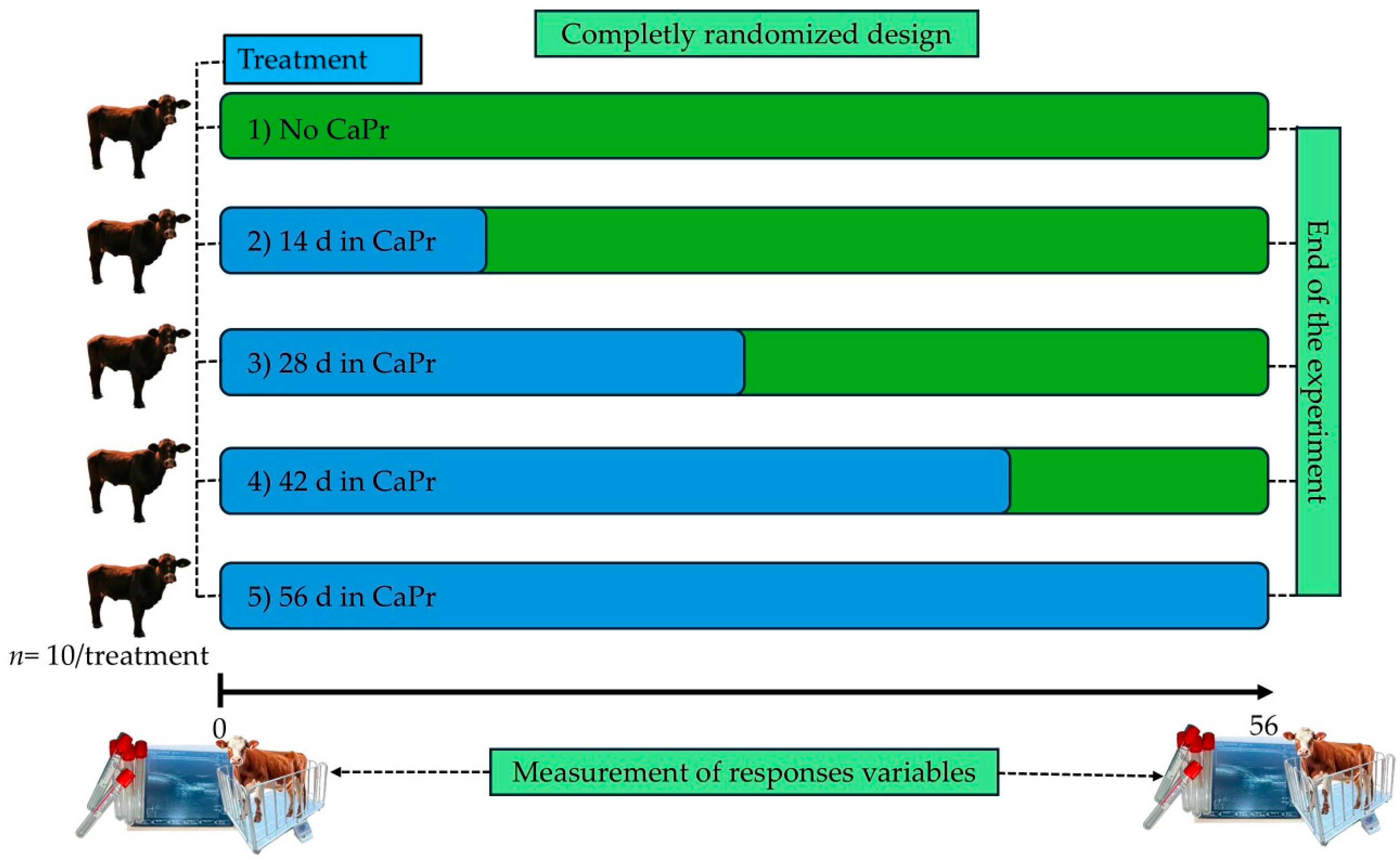 Animals 15 01170 g001