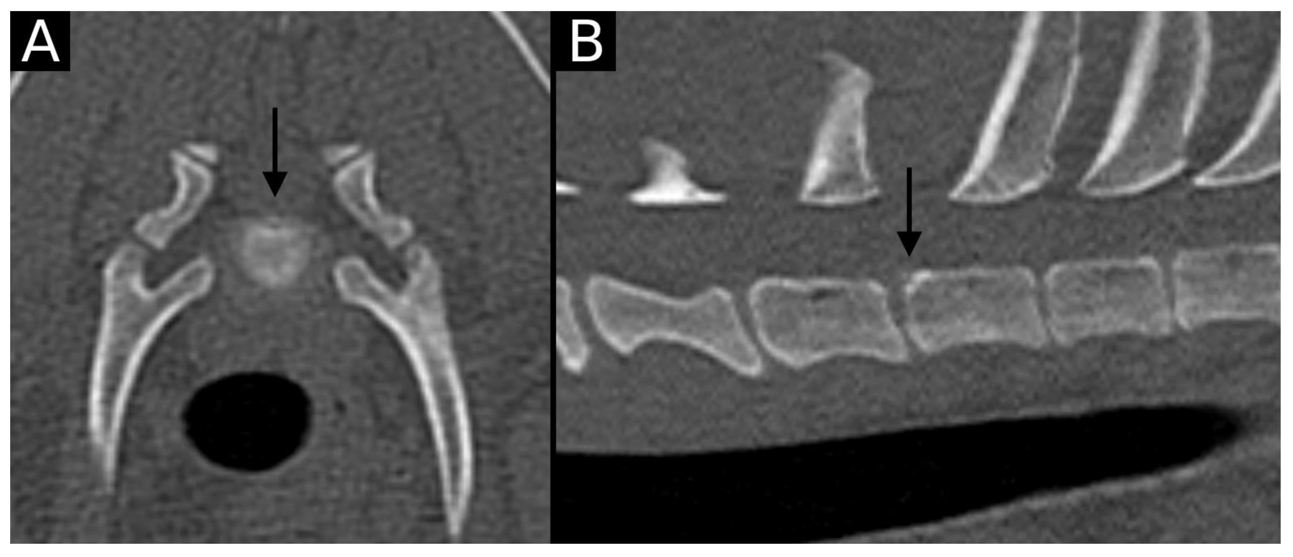 Animals 15 01171 g003