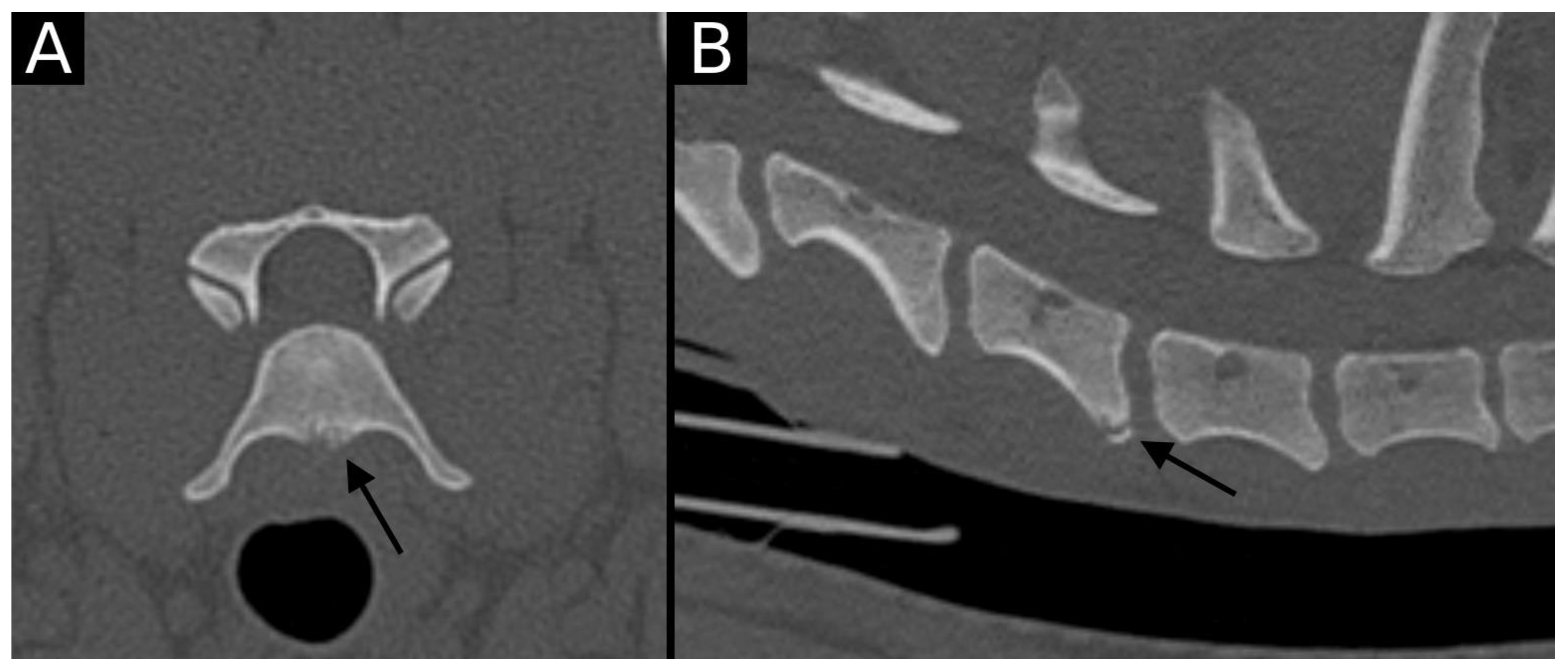 Animals 15 01171 g004