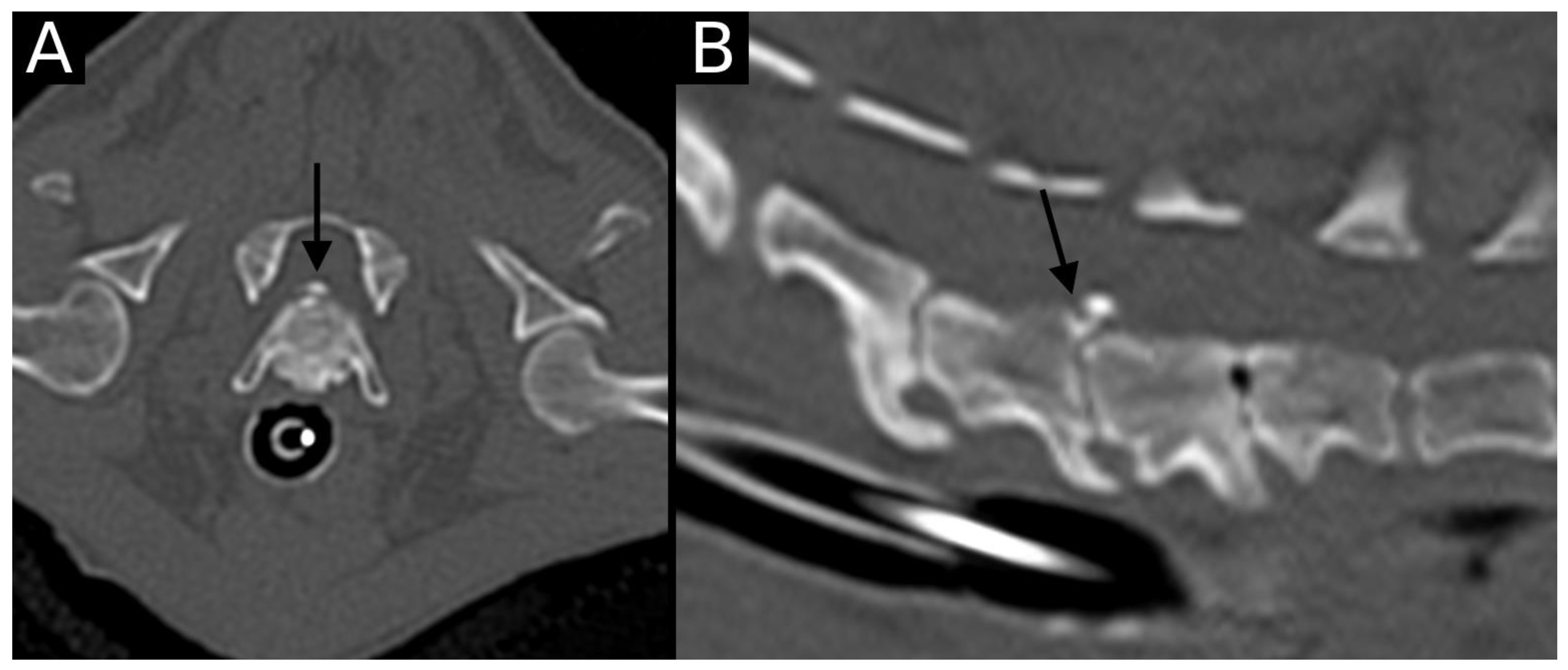 Animals 15 01171 g007