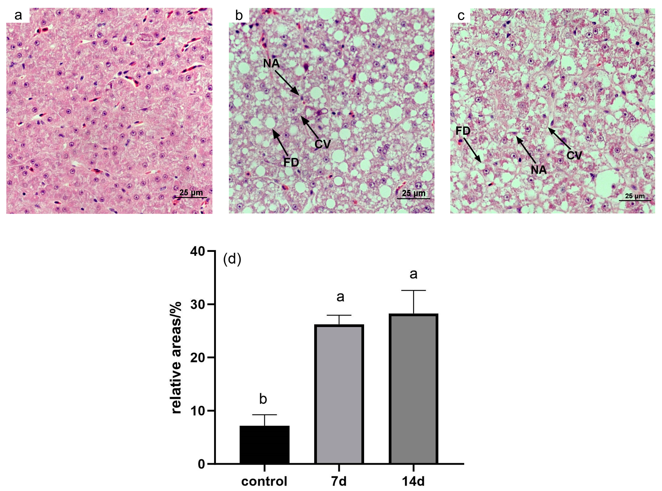 Animals 15 01174 g001