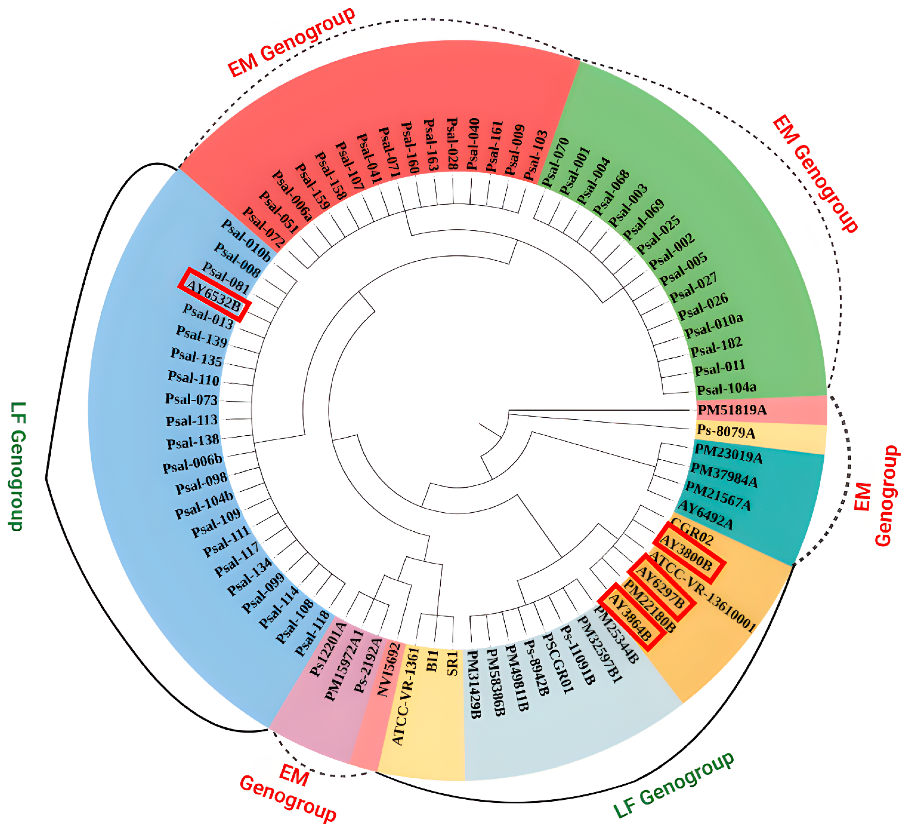 Animals 15 01176 g004
