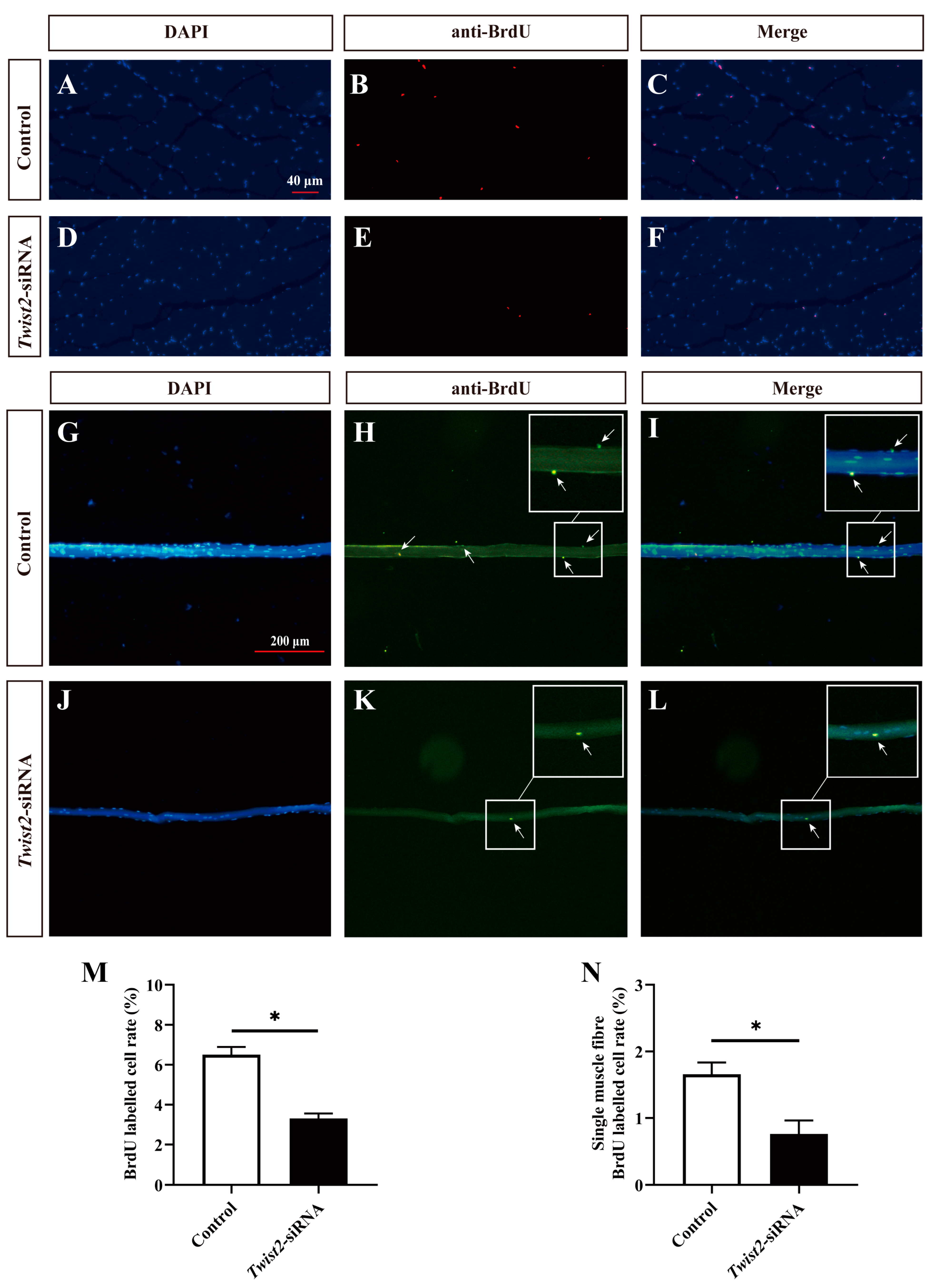 Animals 15 01177 g004 Animals 15 01177 g004