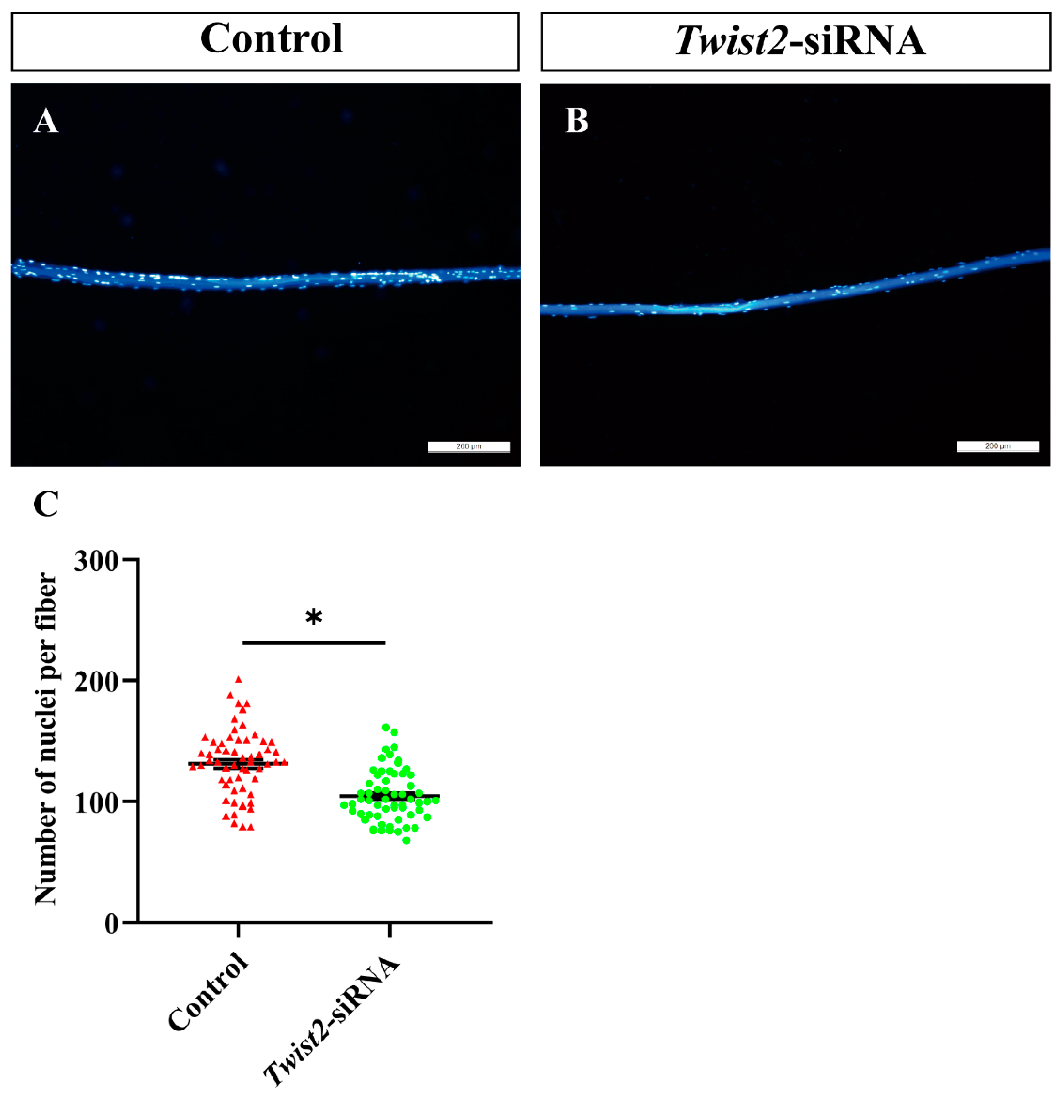 Animals 15 01177 g005 Animals 15 01177 g005