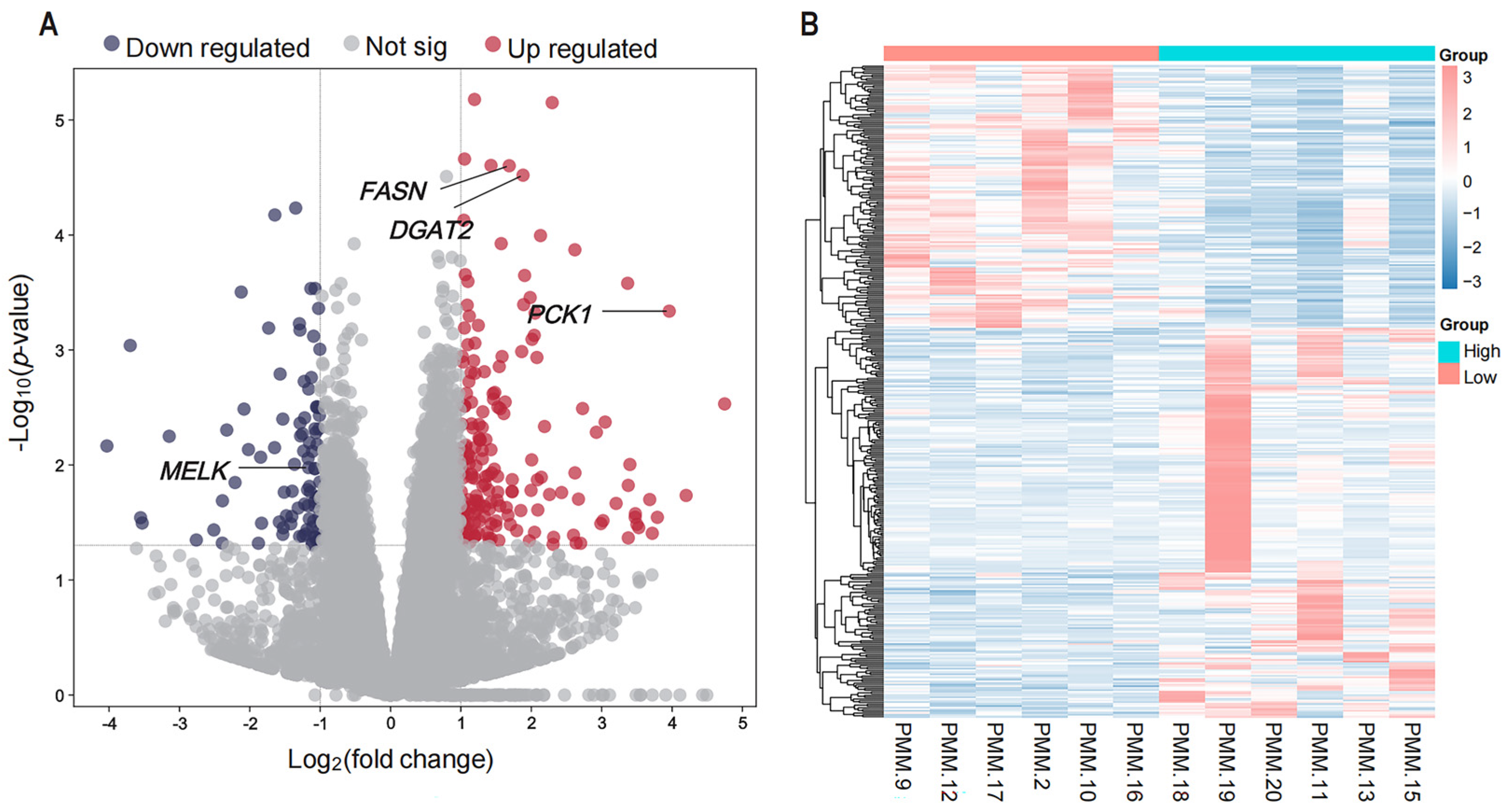 Animals 15 01181 g001