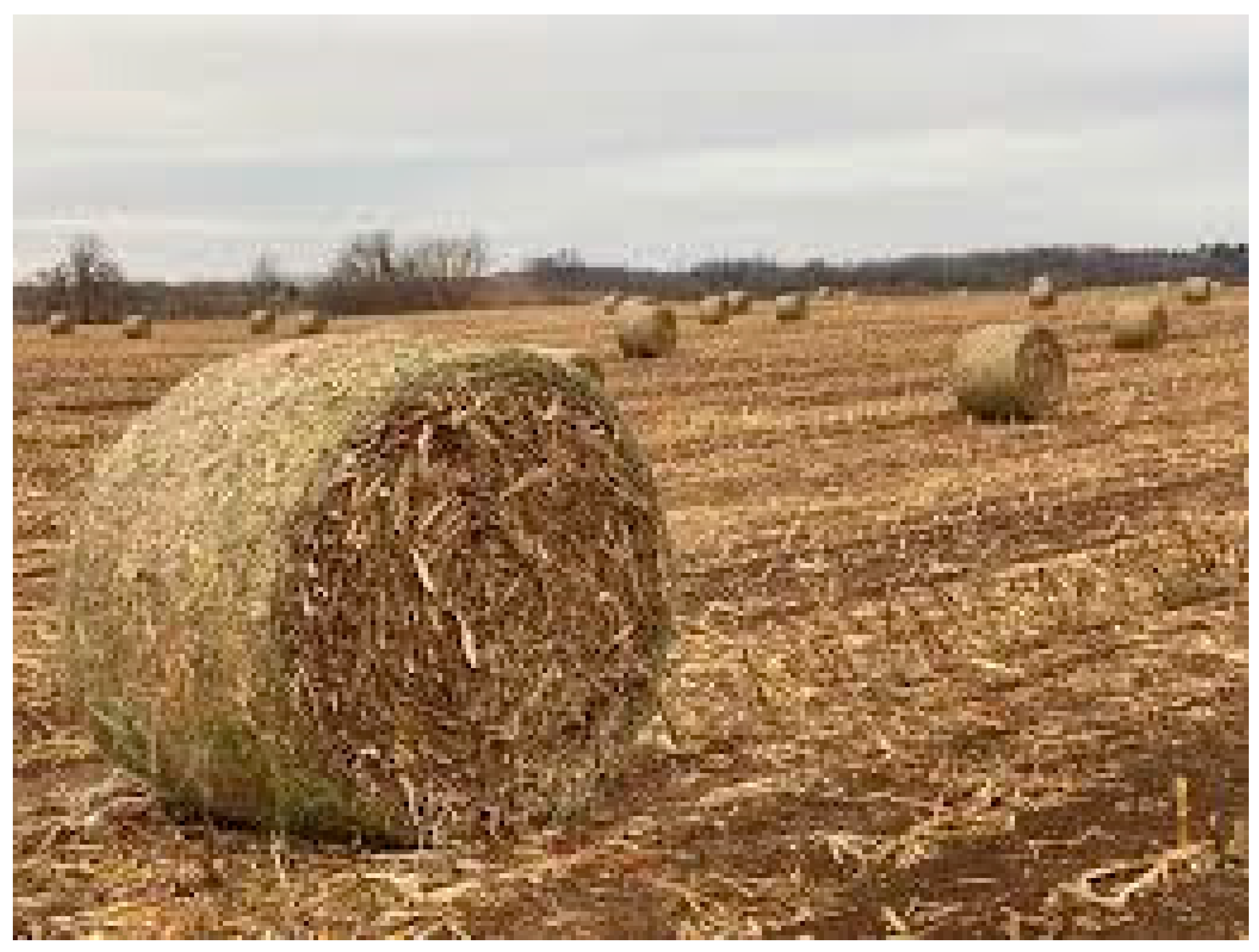 Animals 15 01184 g003