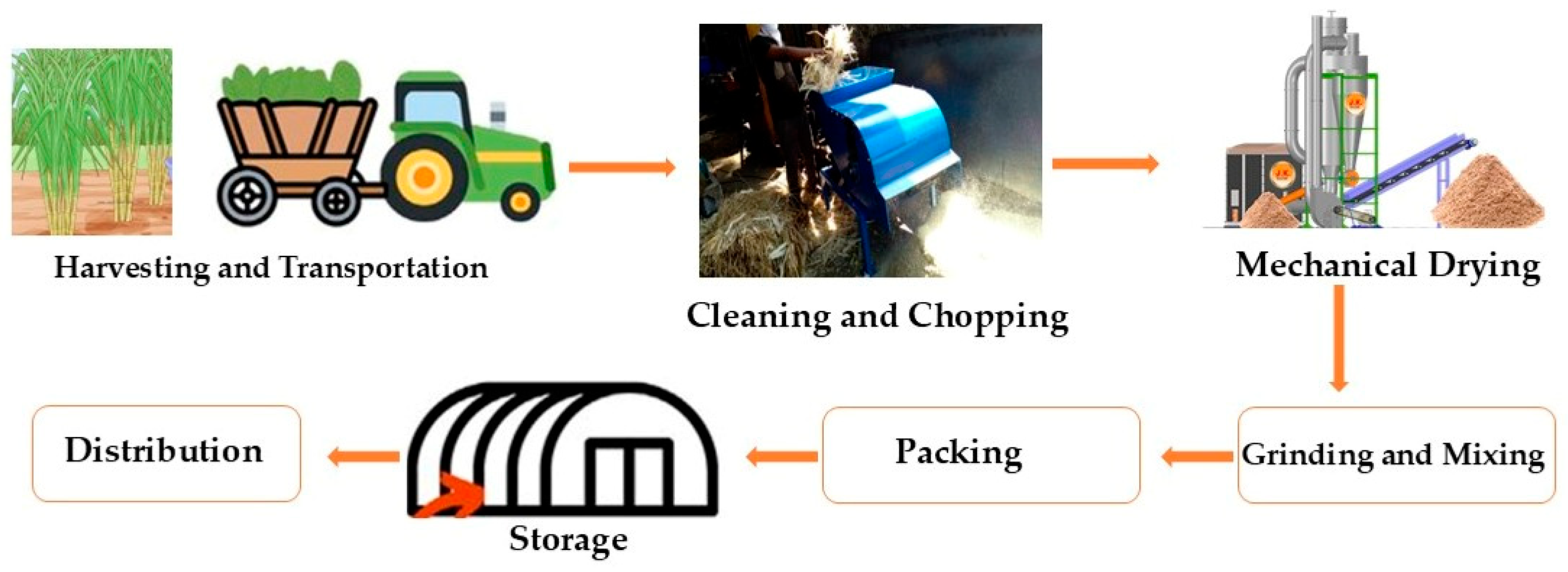 Animals 15 01184 g005