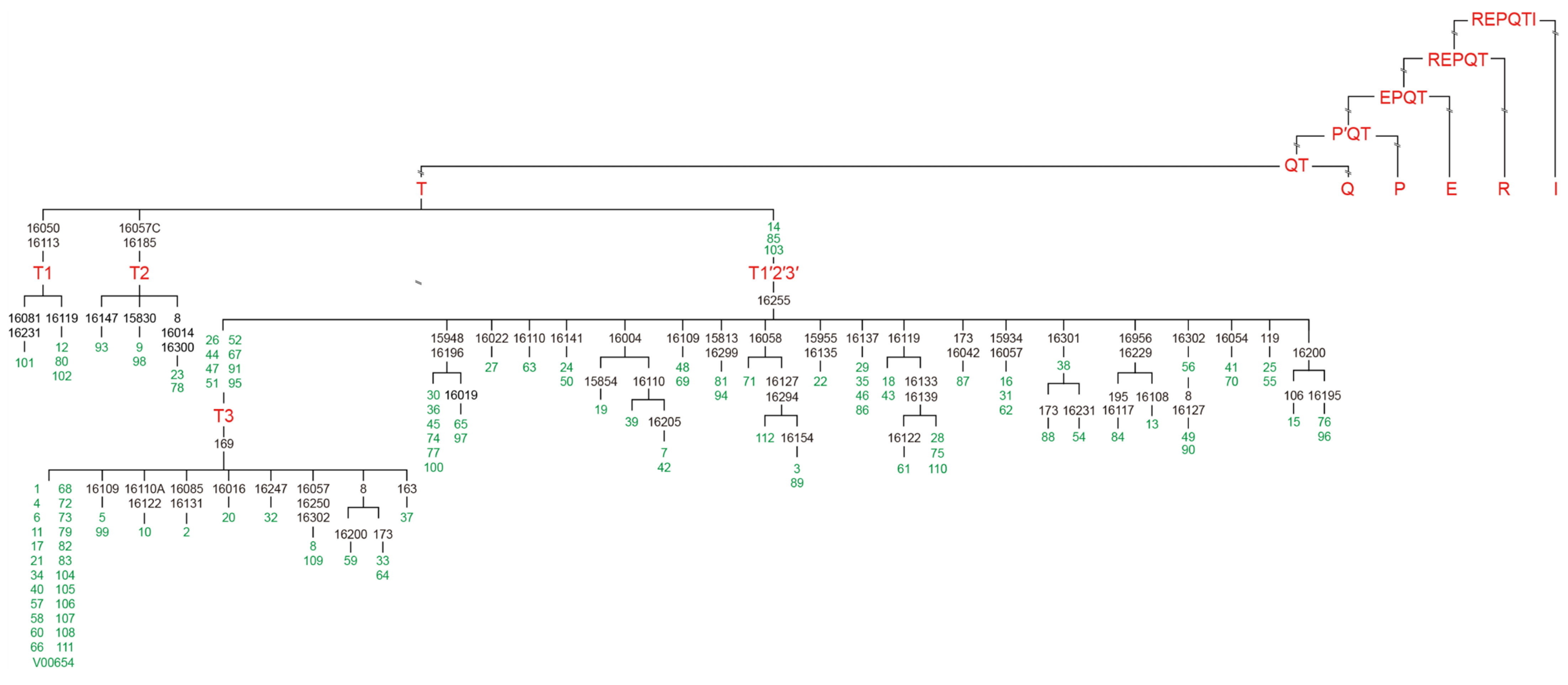 Animals 15 01186 g002