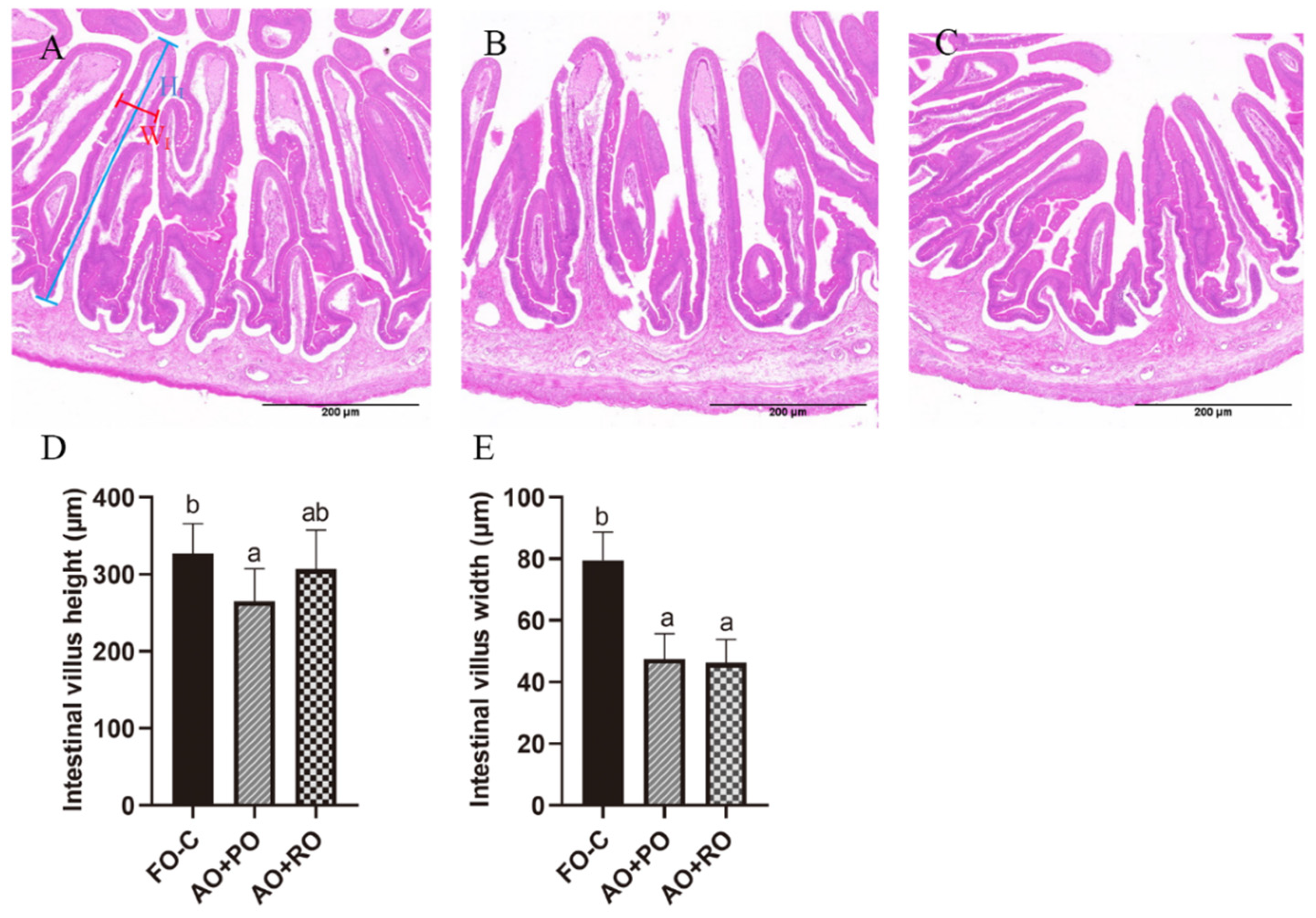 Animals 15 01187 g002 Animals 15 01187 g002