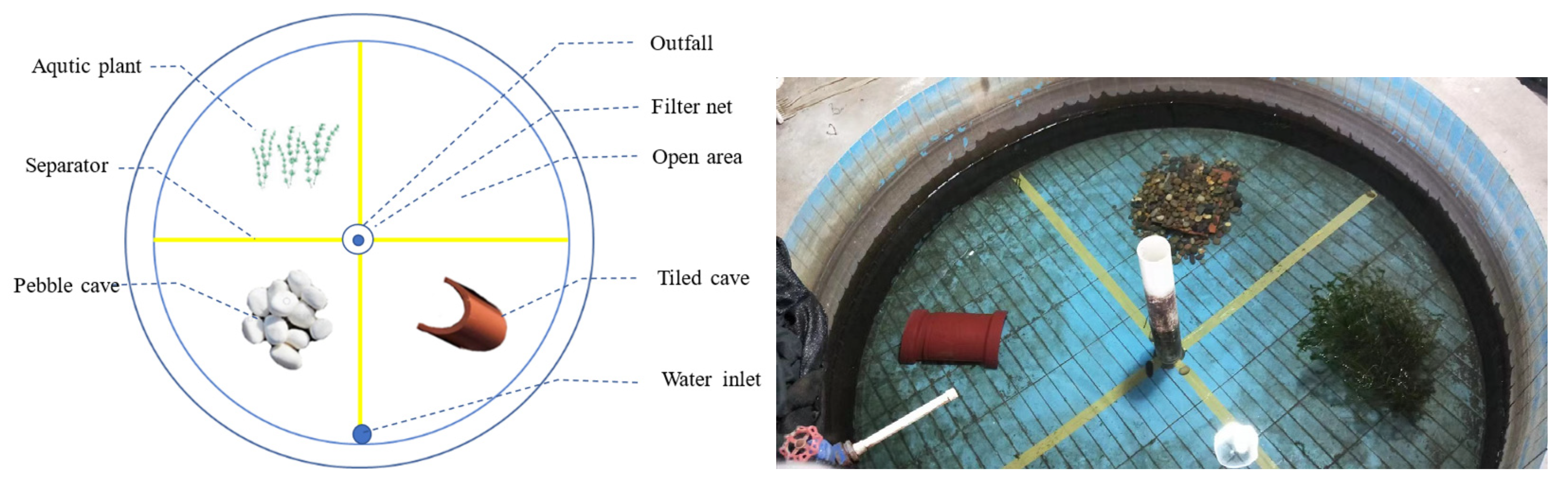 Animals 15 01192 g001 Animals 15 01192 g001