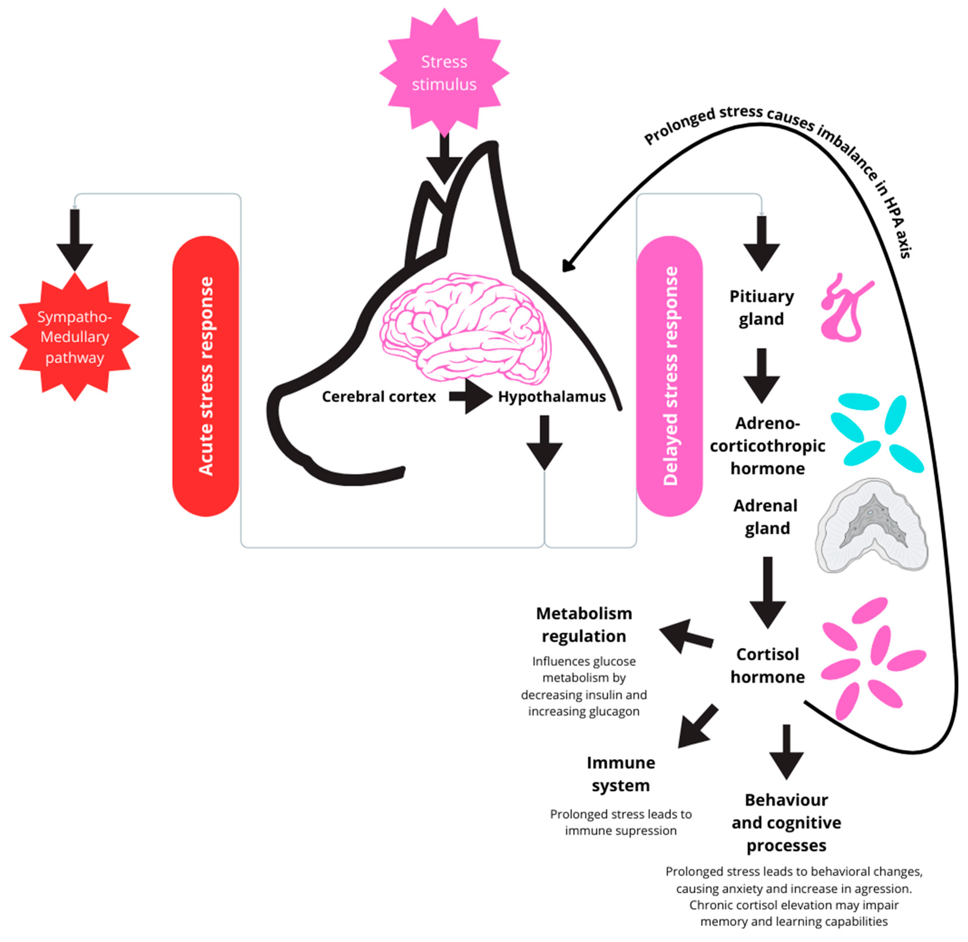 Animals 15 01197 g001
