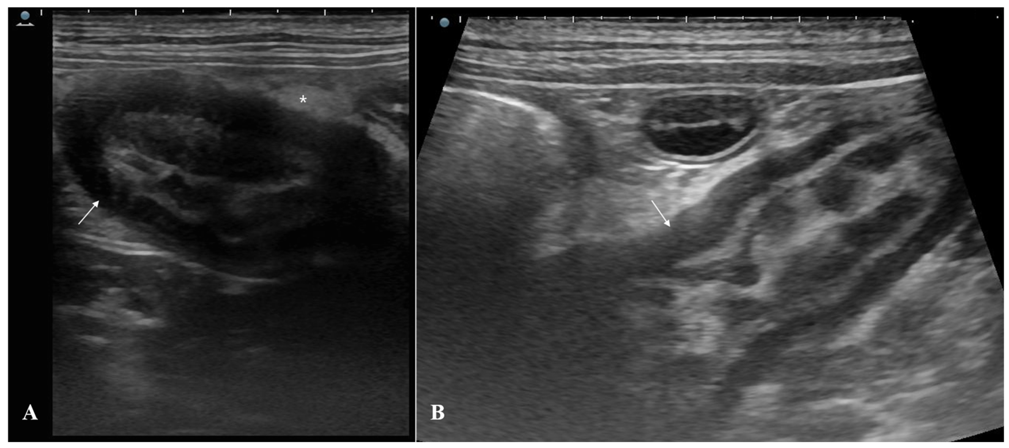 Animals 15 01199 g001 Animals 15 01199 g001