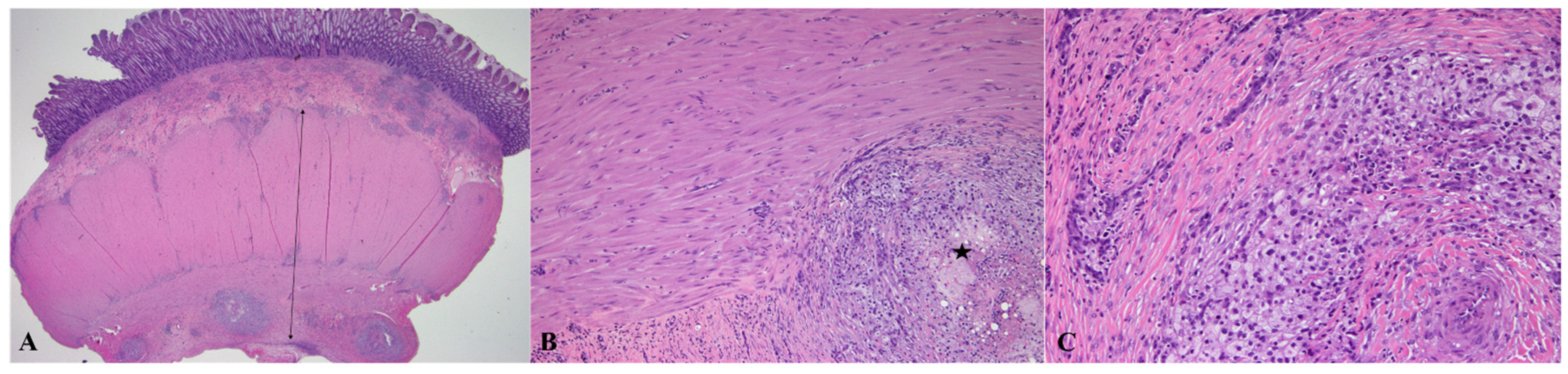 Animals 15 01199 g004 Animals 15 01199 g004