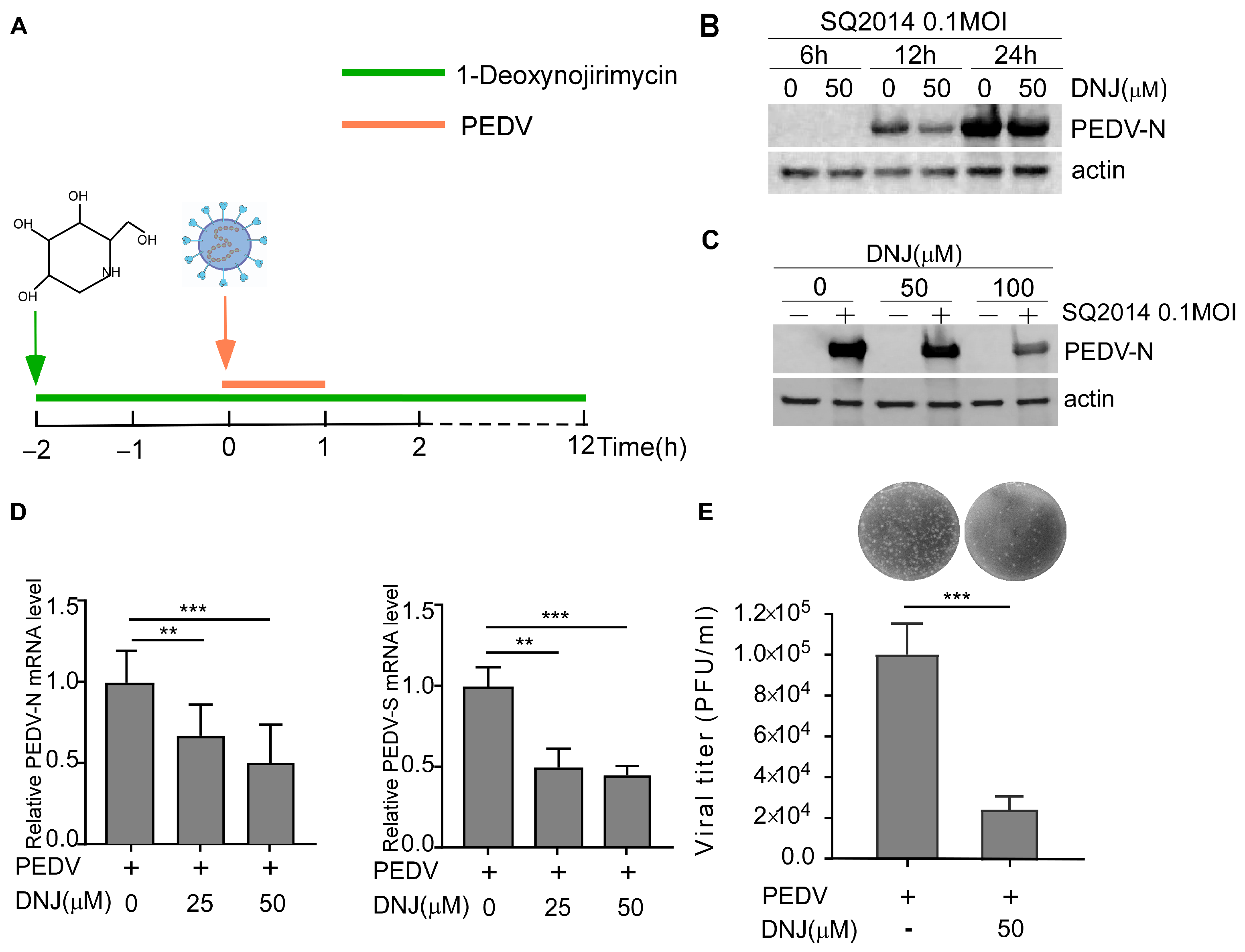 Animals 15 01207 g002