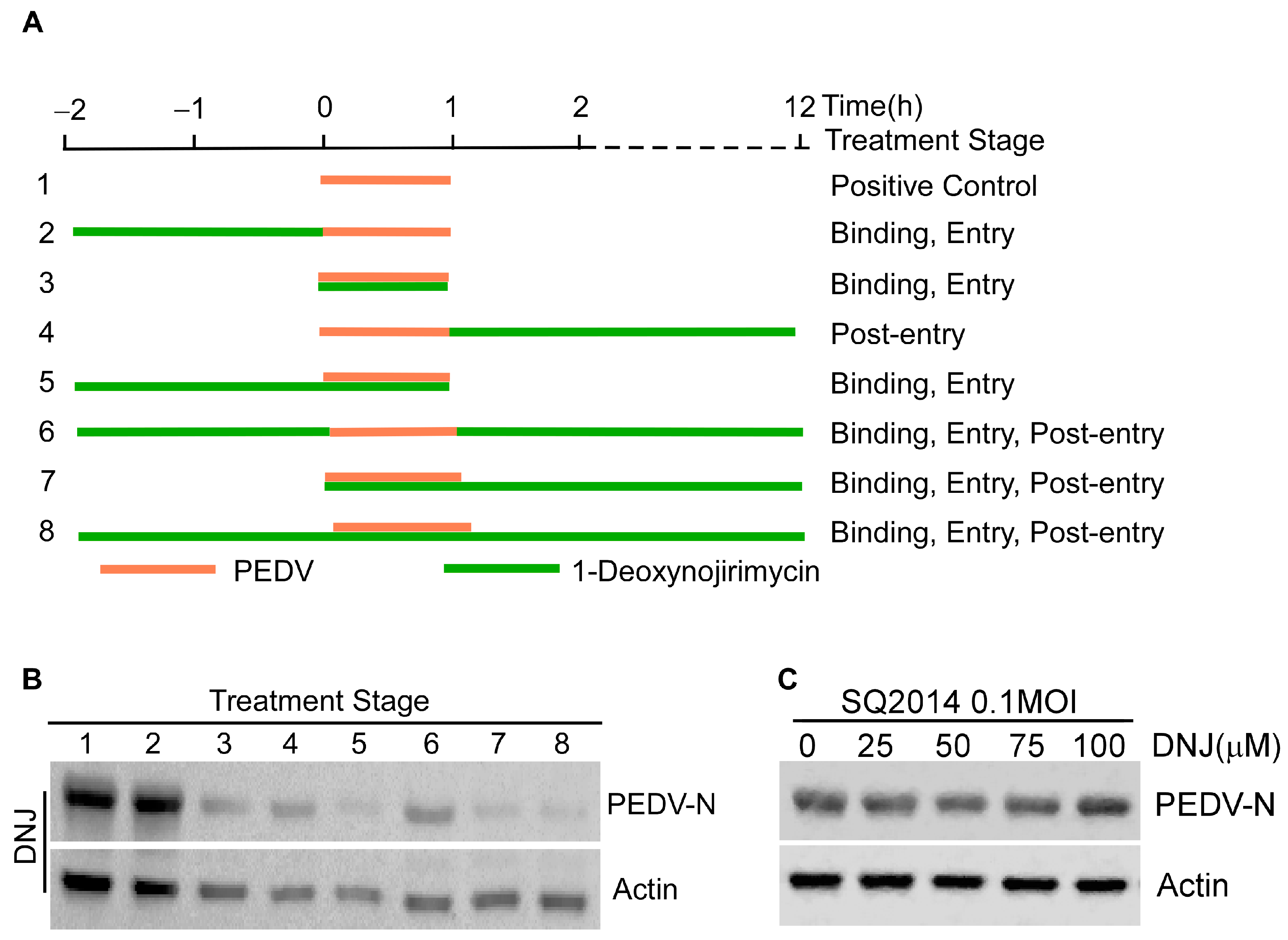 Animals 15 01207 g003