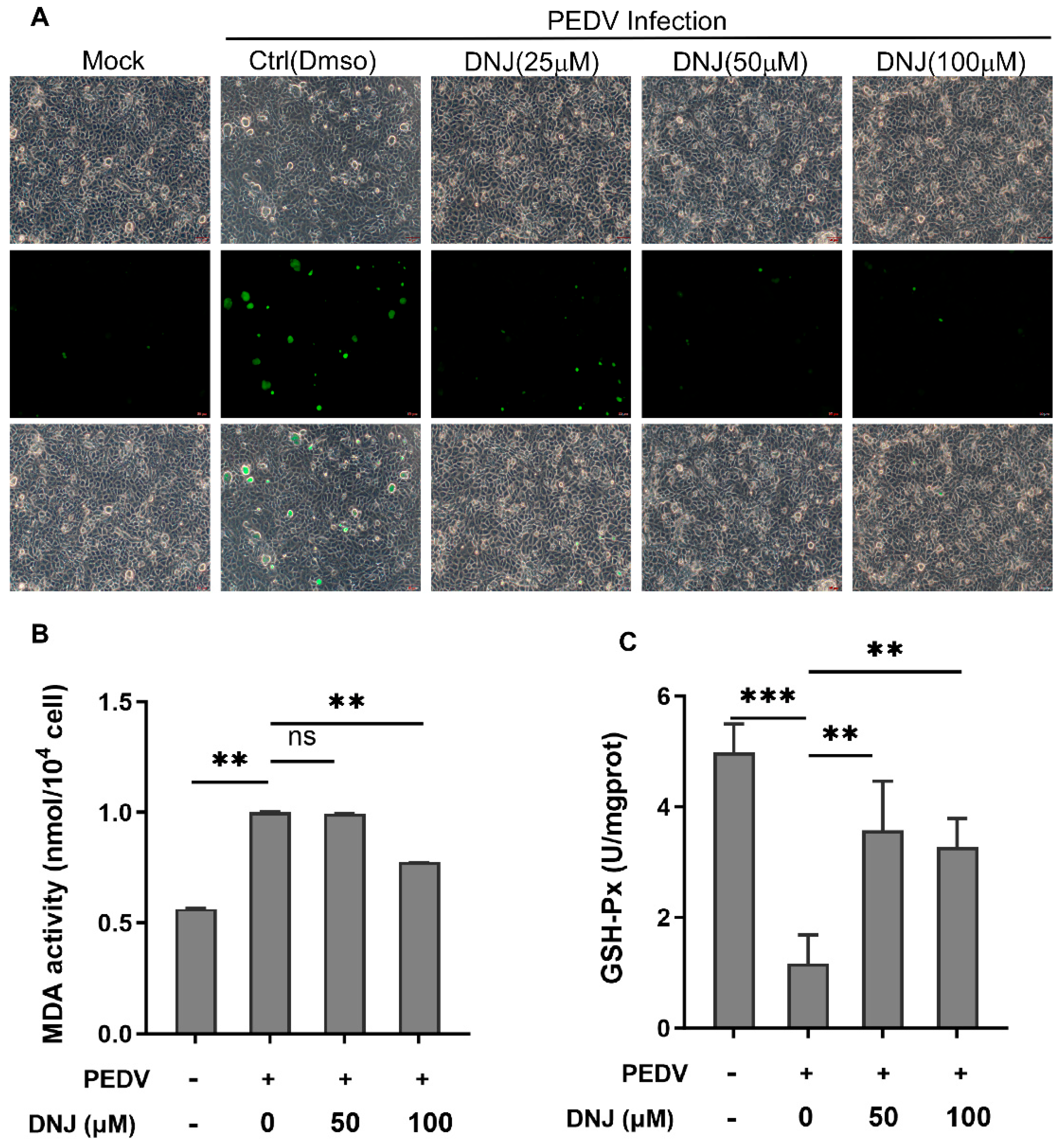 Animals 15 01207 g005