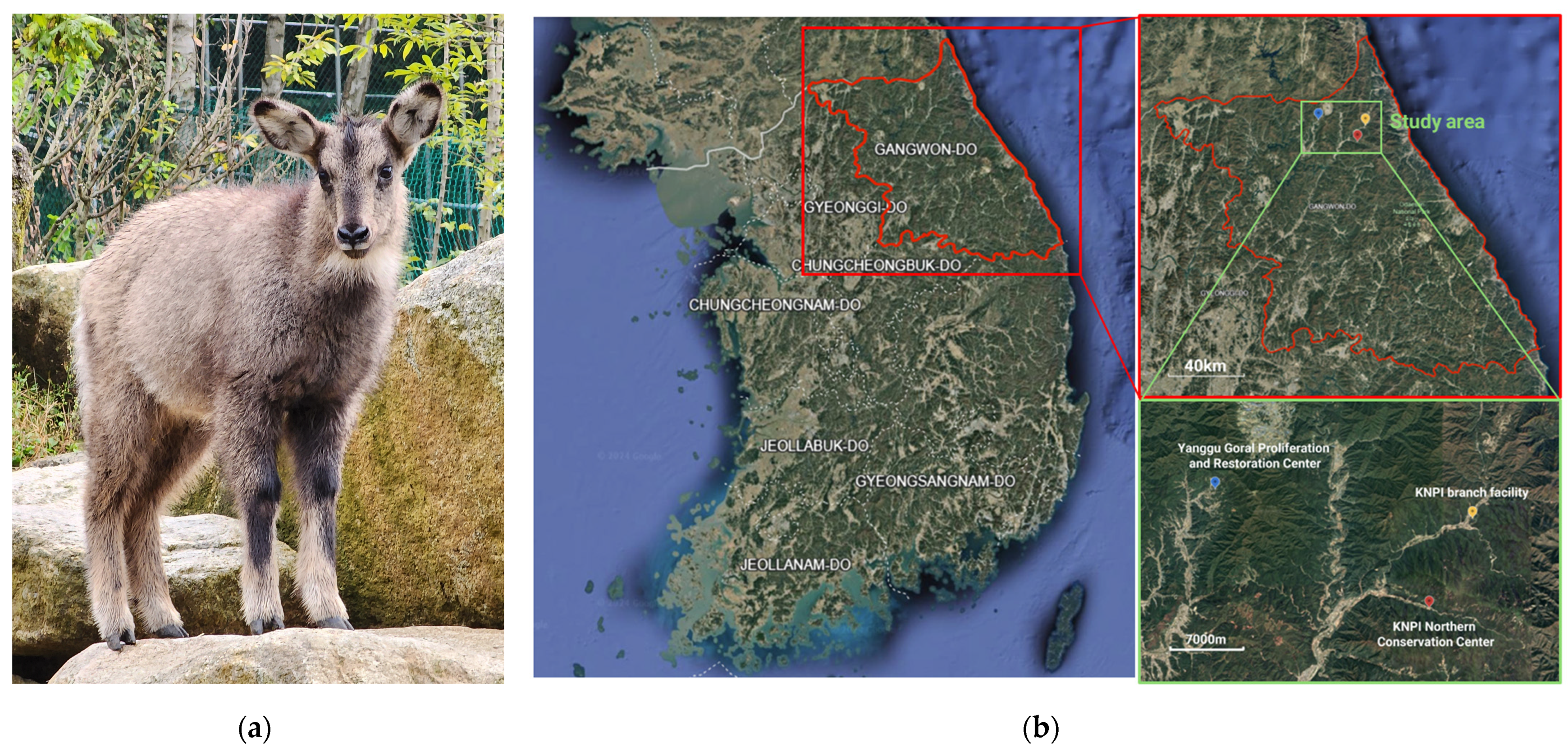 Animals 15 01216 g001