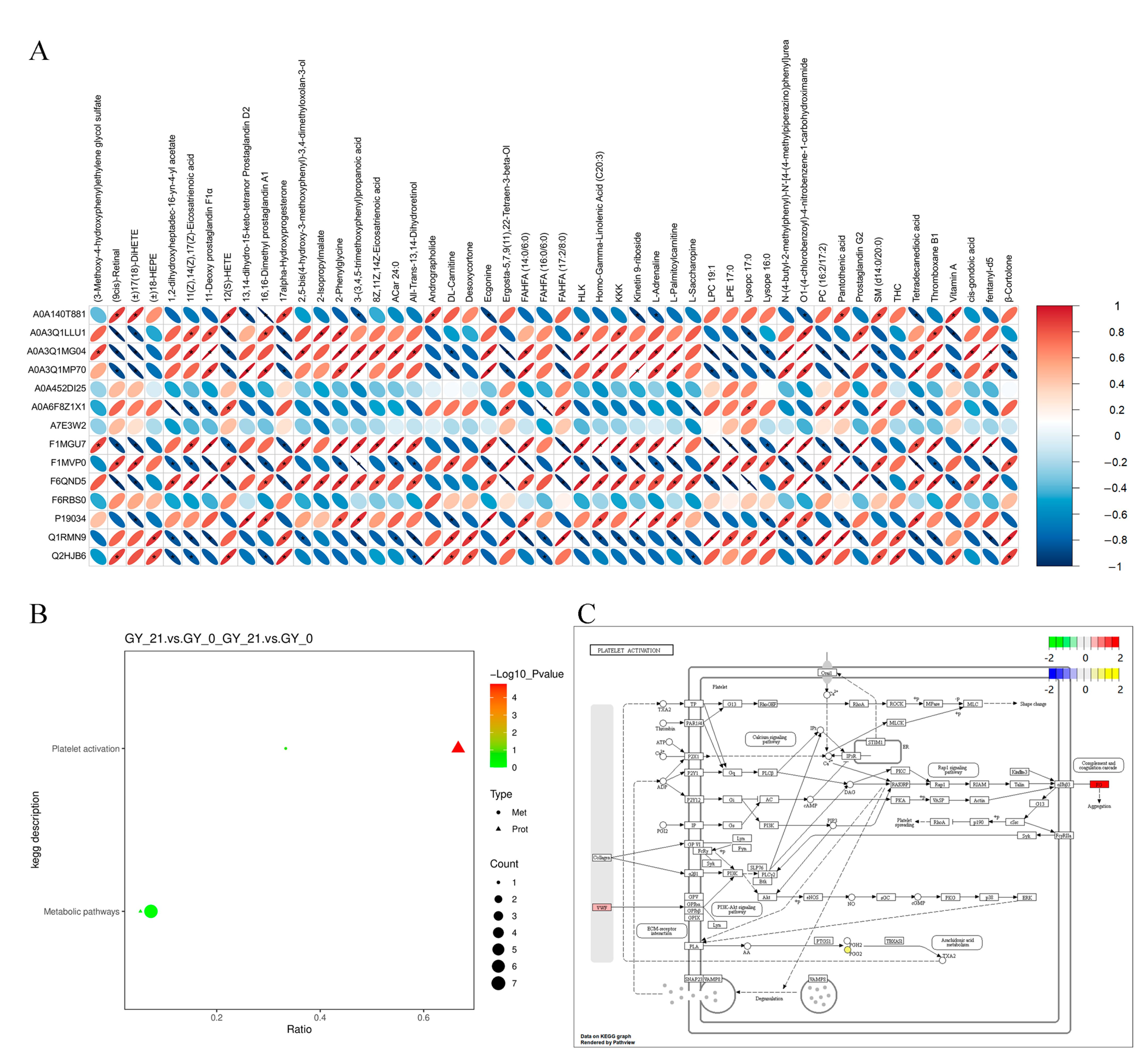 Animals 15 01219 g003