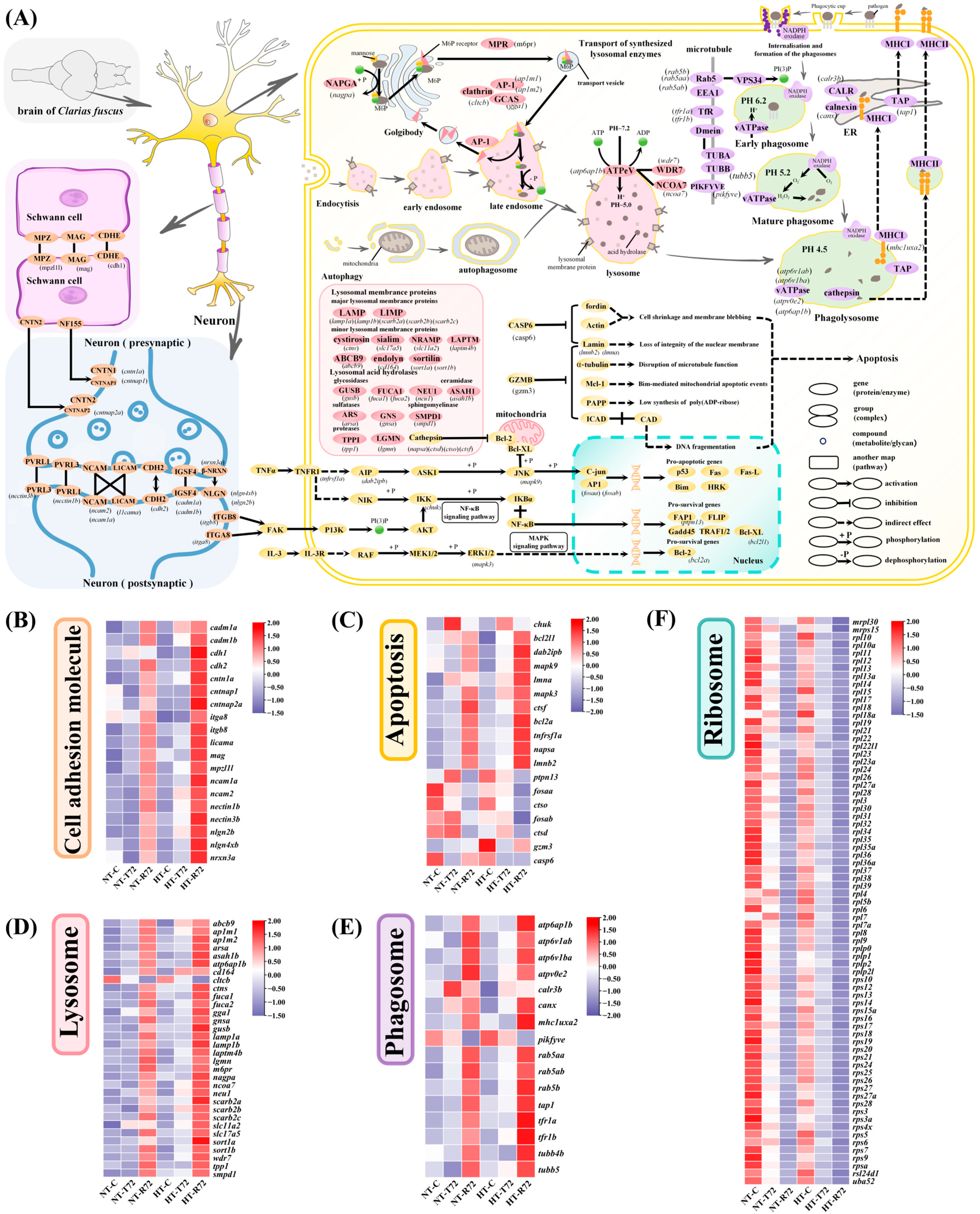 Animals 15 01220 g008