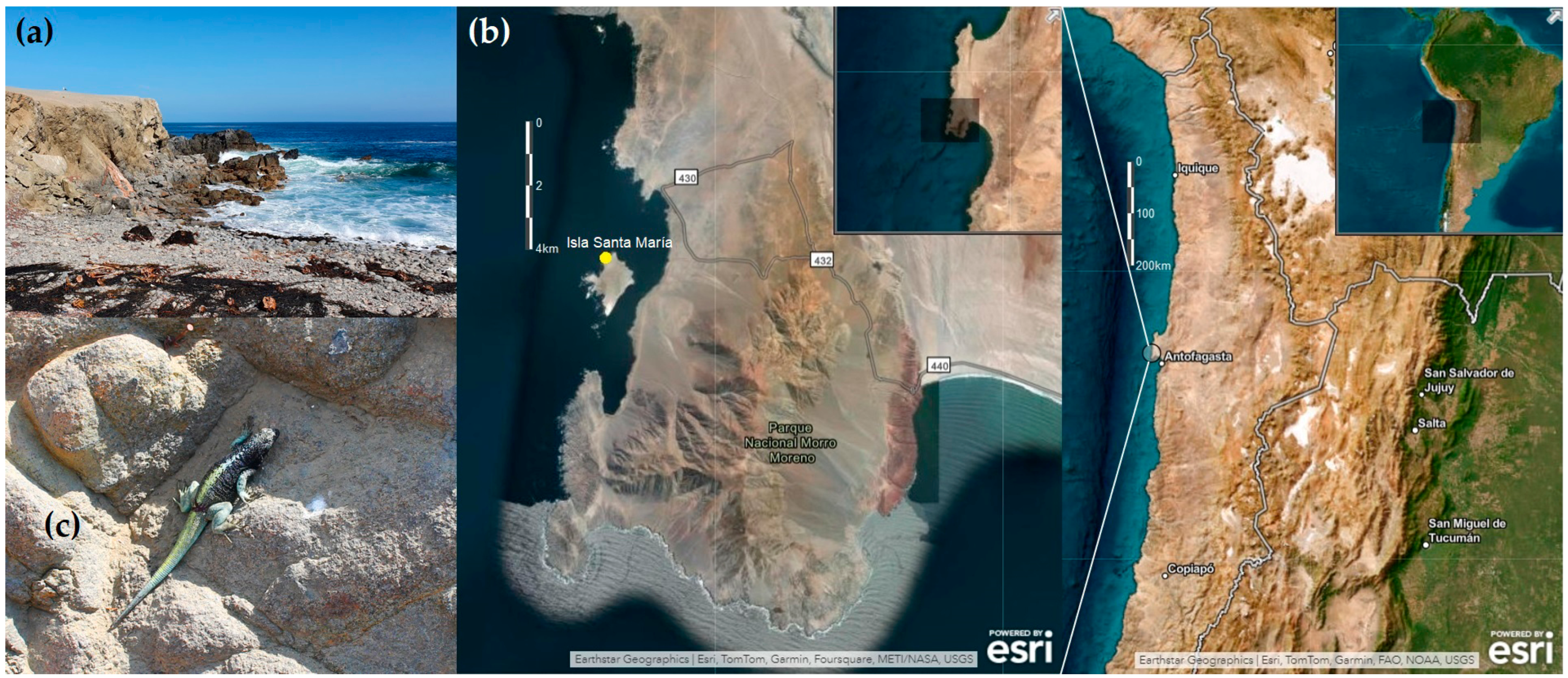 Animals 15 01221 g001