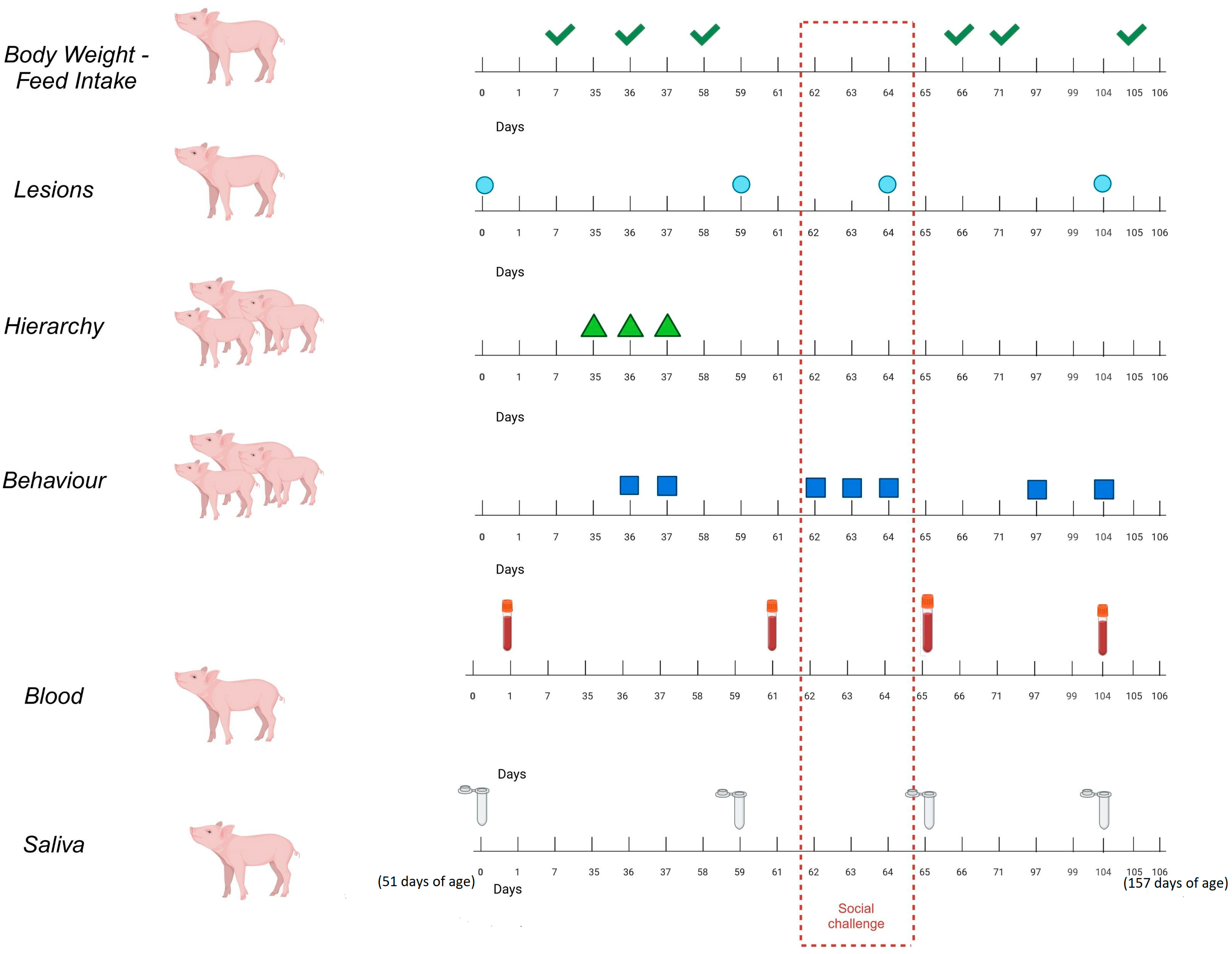 Animals 15 01228 g001