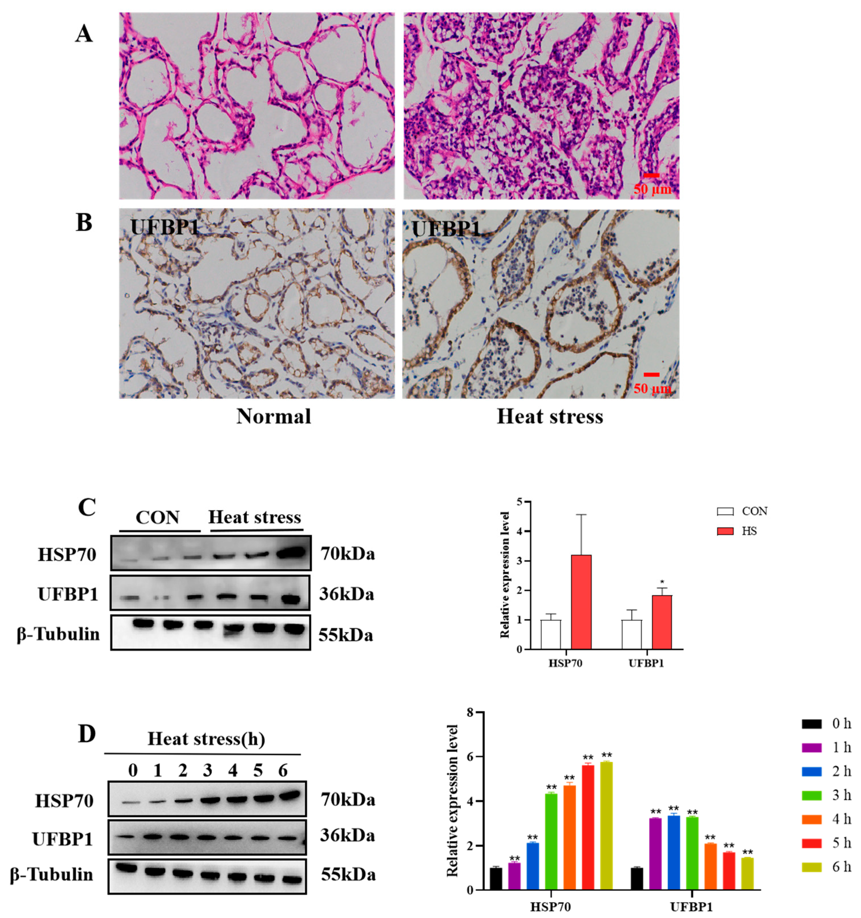 Animals 15 01233 g001