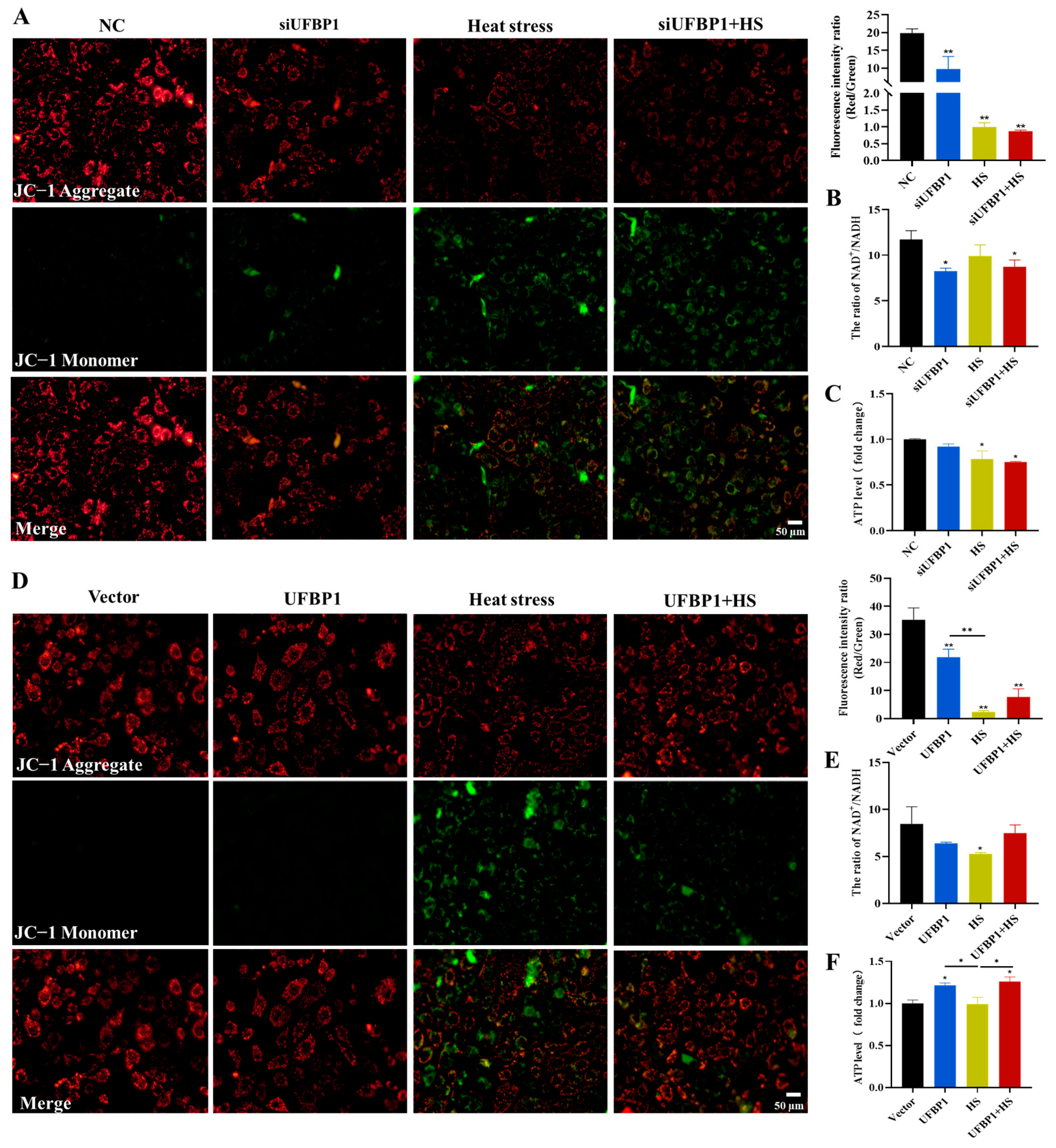 Animals 15 01233 g005