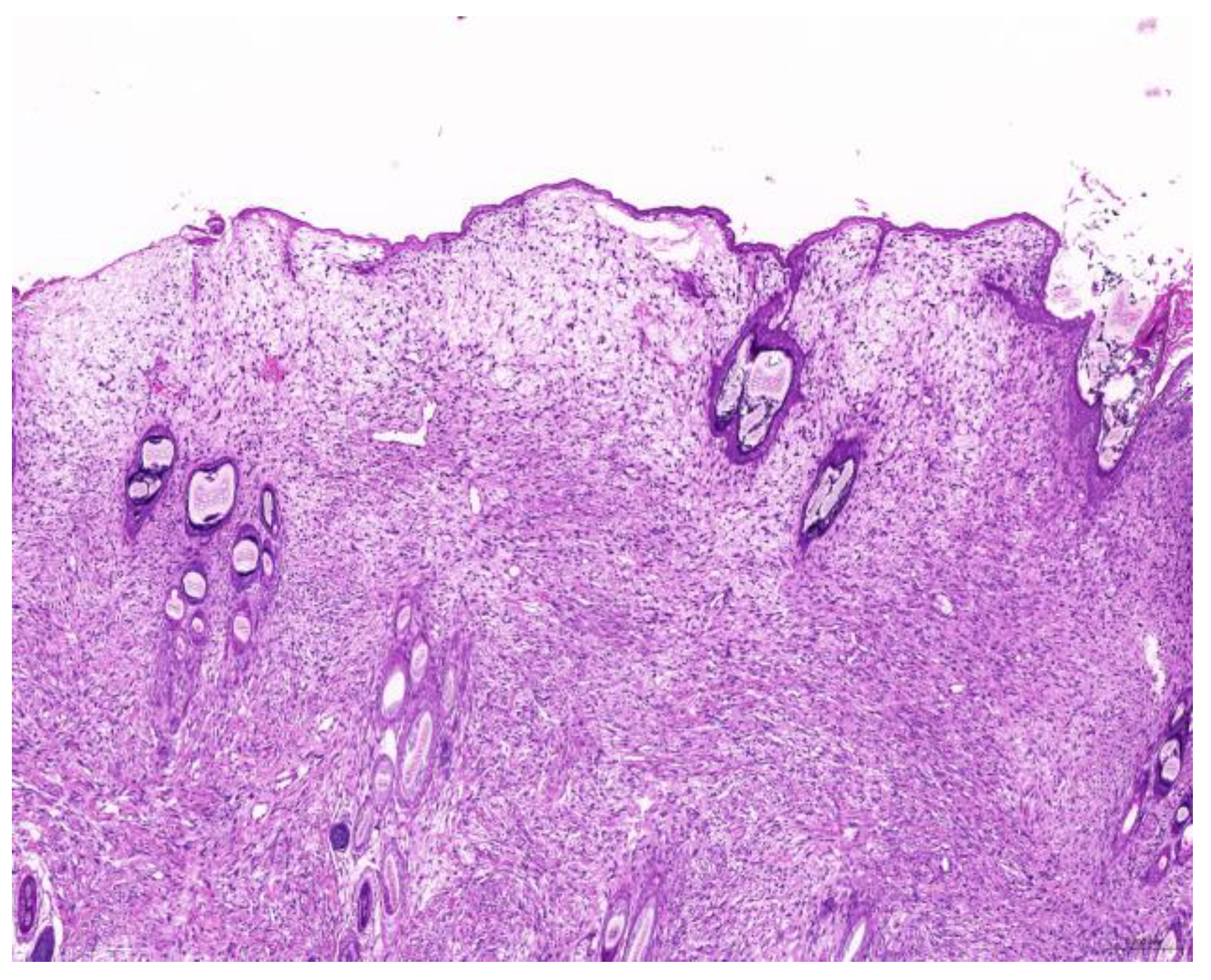 Animals 15 01234 g001