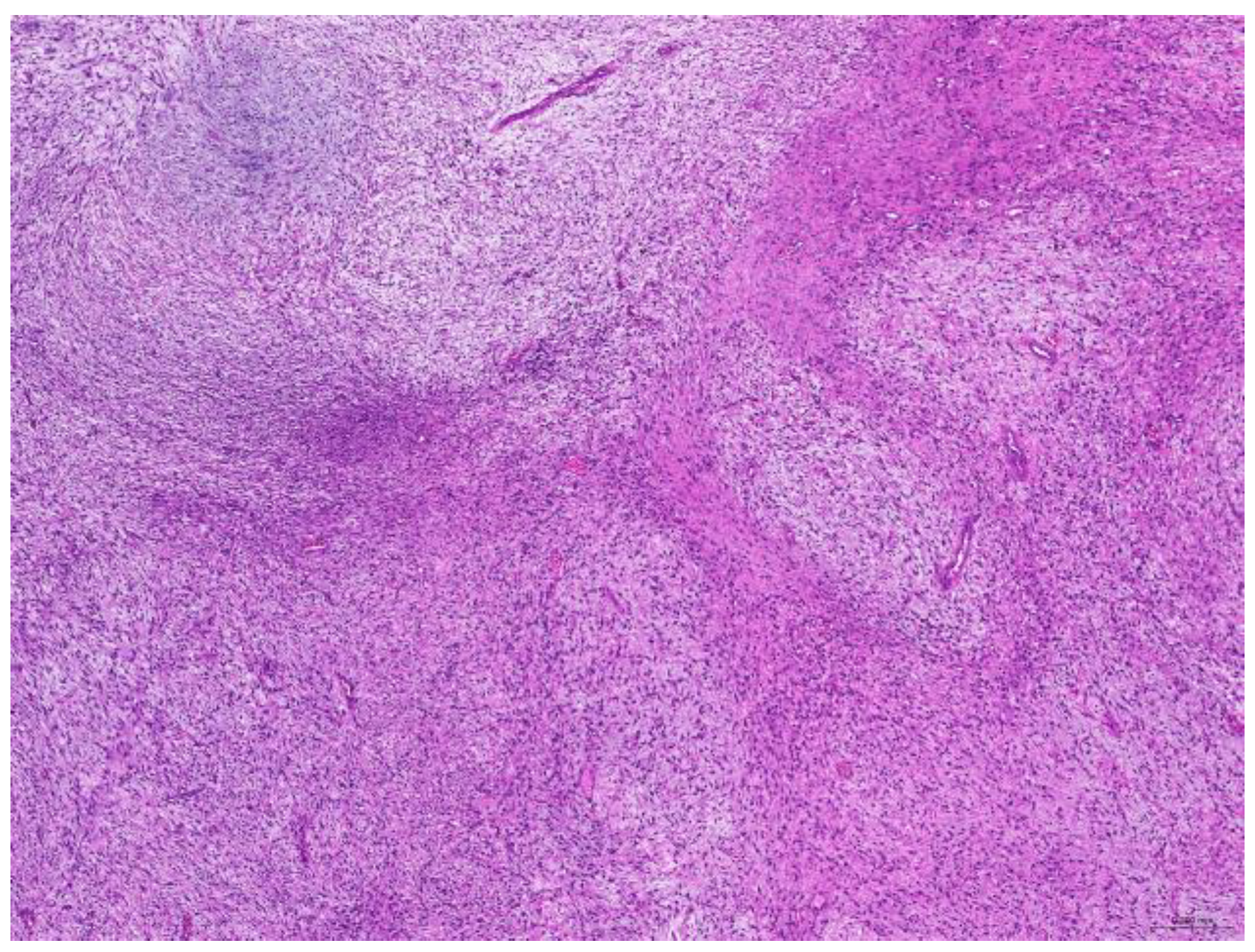 Animals 15 01234 g005