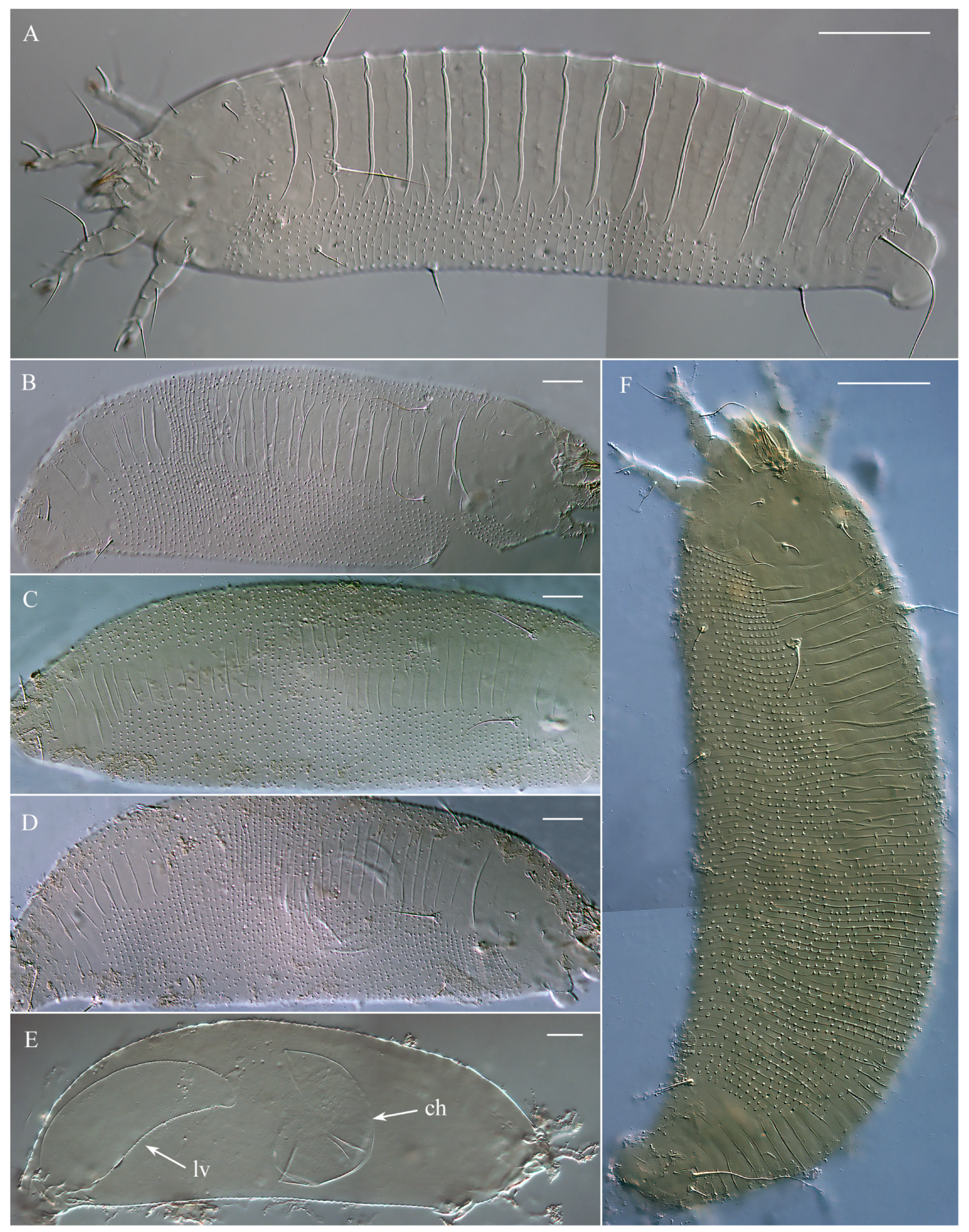 Animals 15 01236 g003