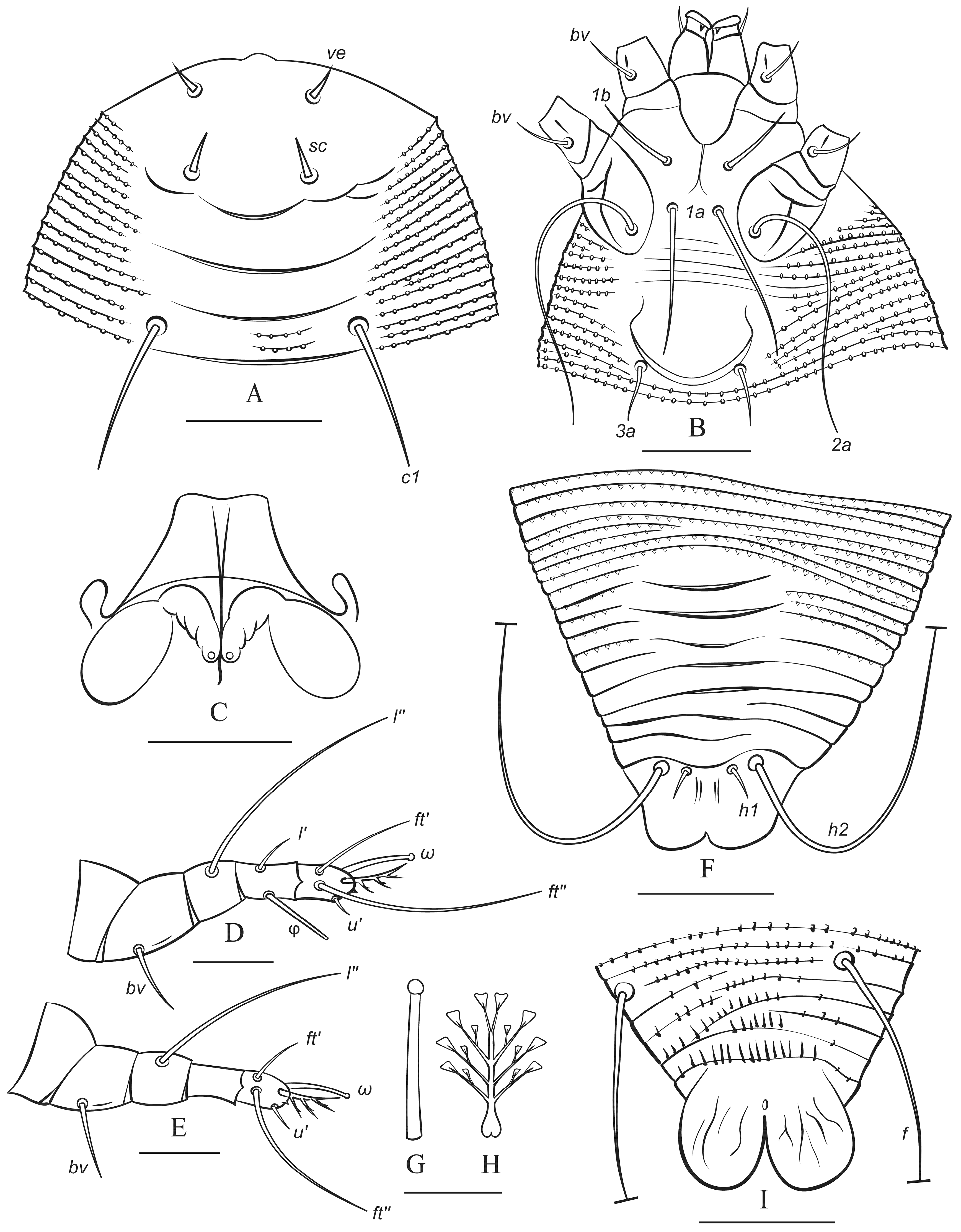 Animals 15 01236 g005