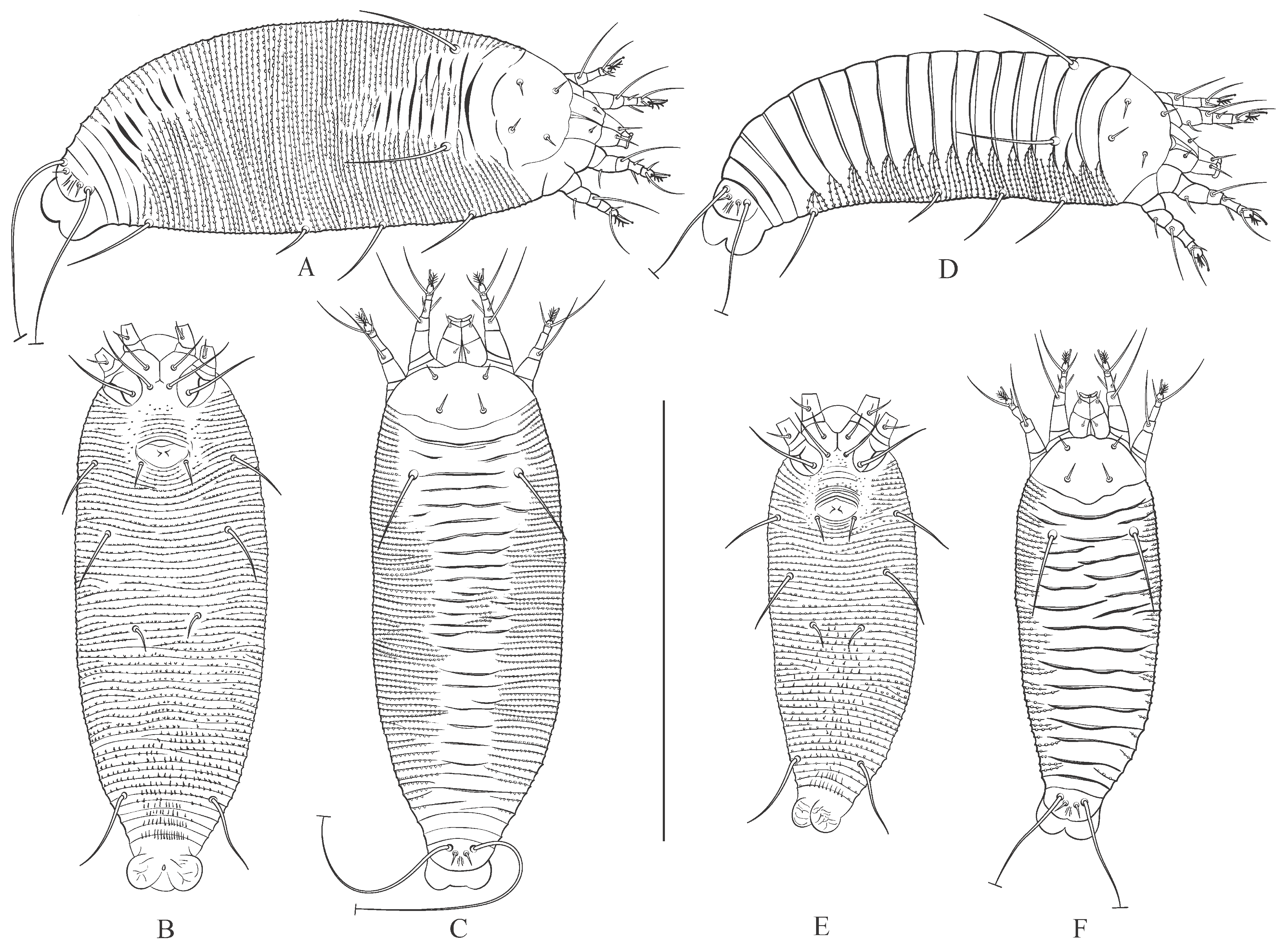 Animals 15 01236 g006