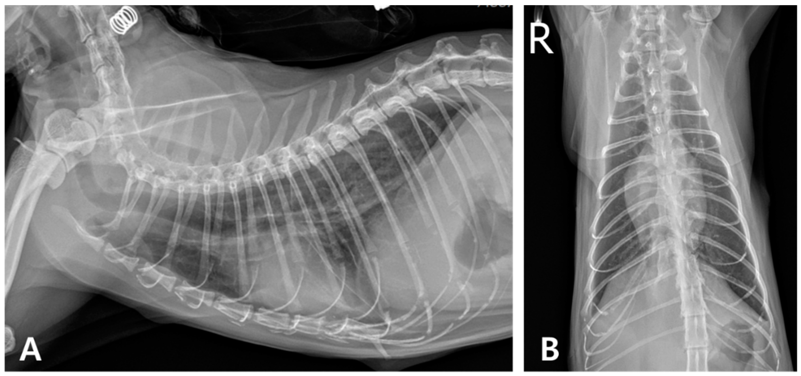 Animals 15 01253 g004