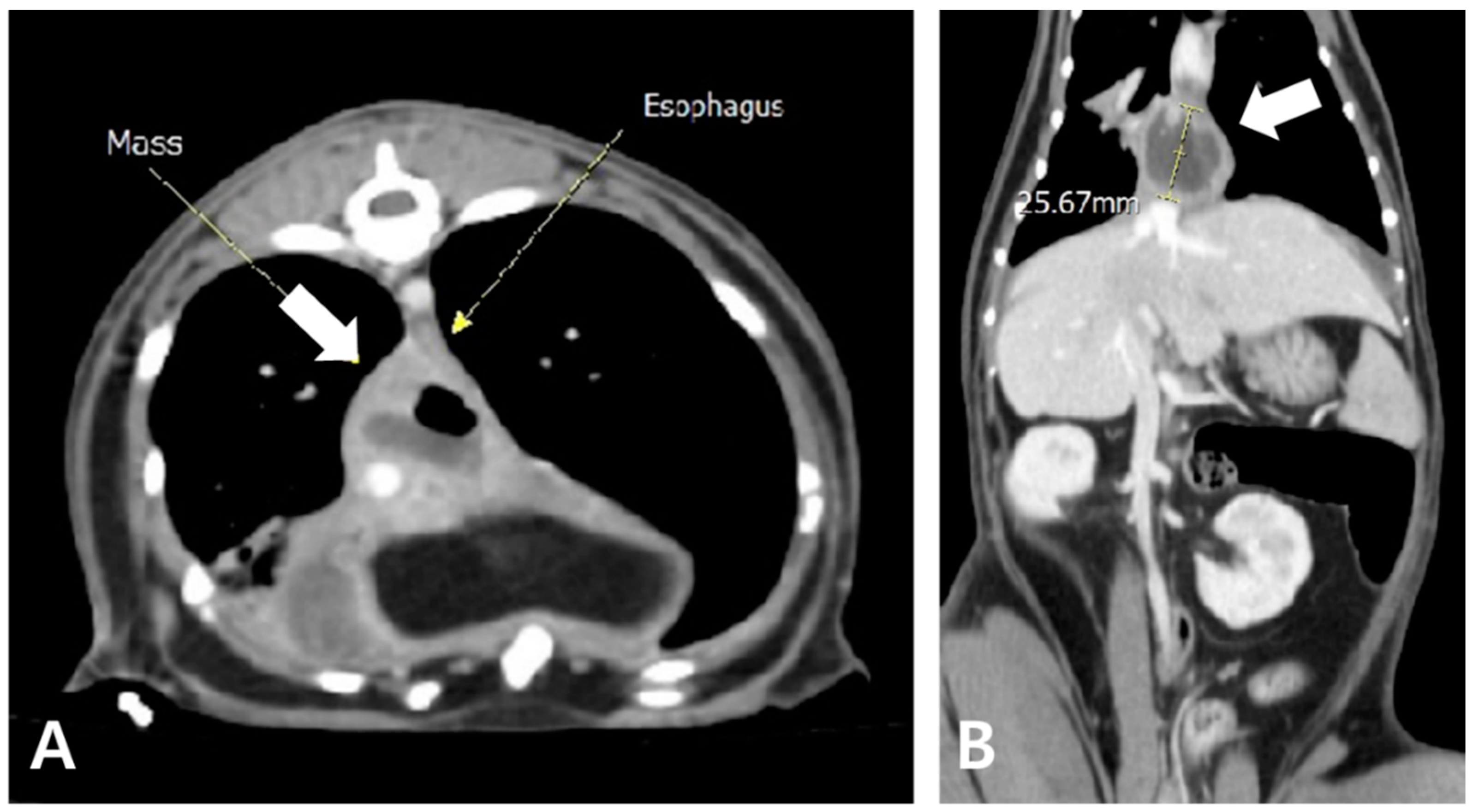 Animals 15 01253 g006