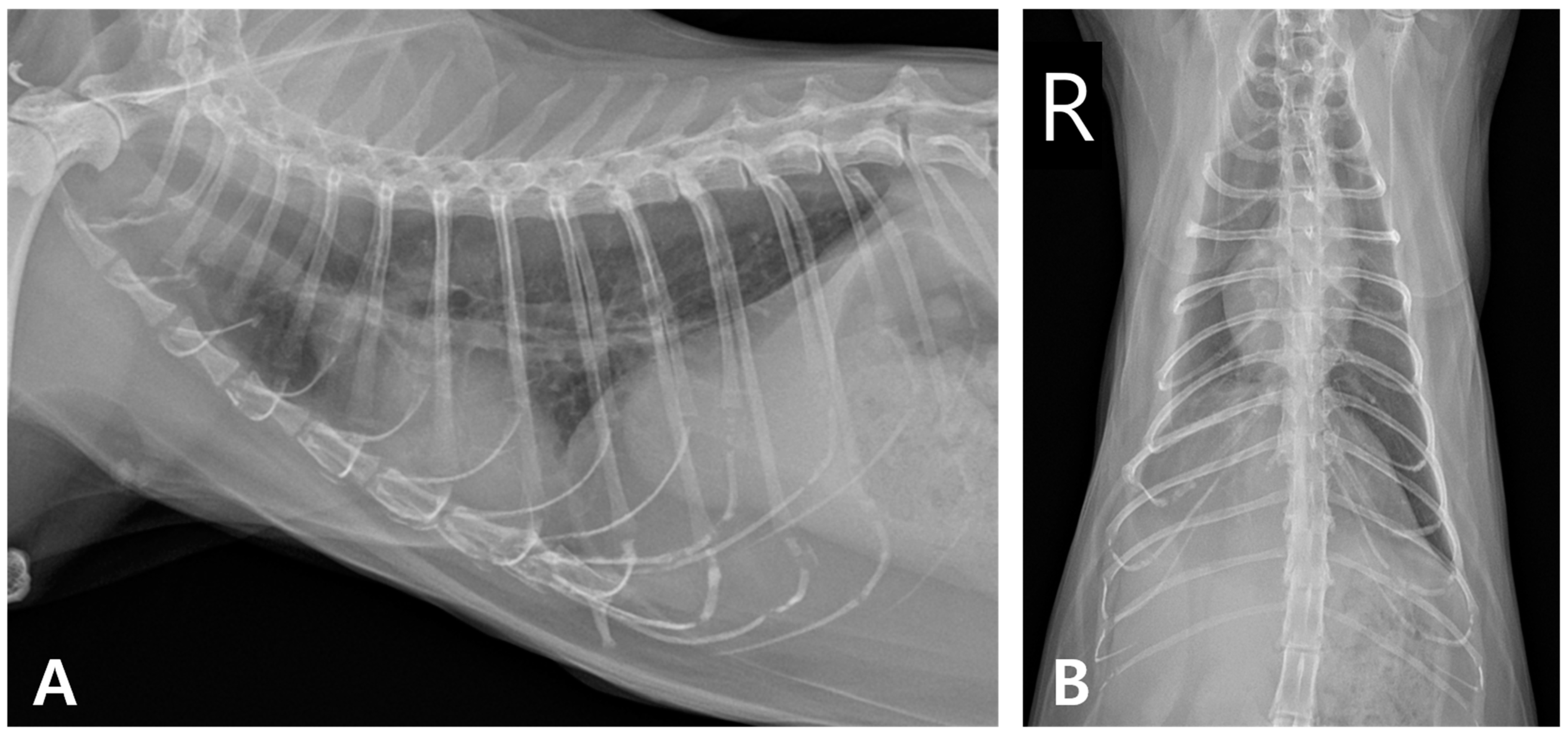 Animals 15 01253 g008